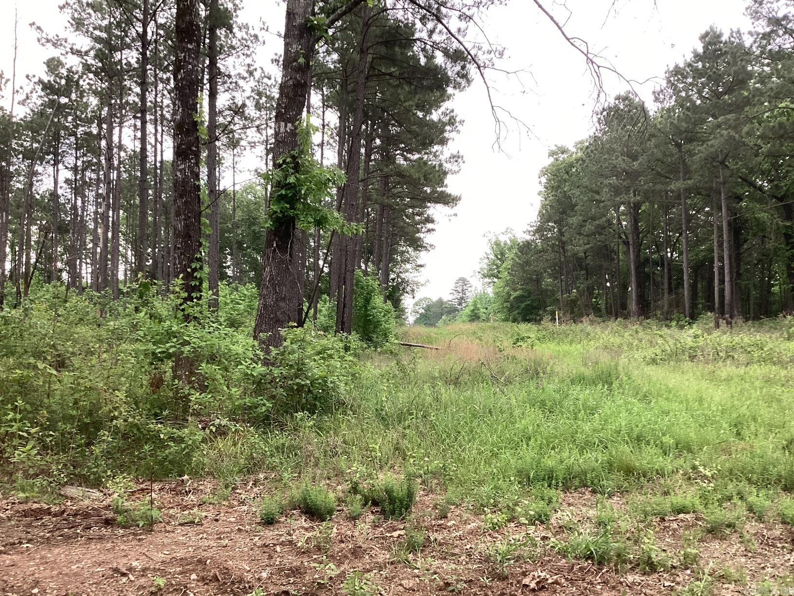00 Hwy 24  Prescott, AR