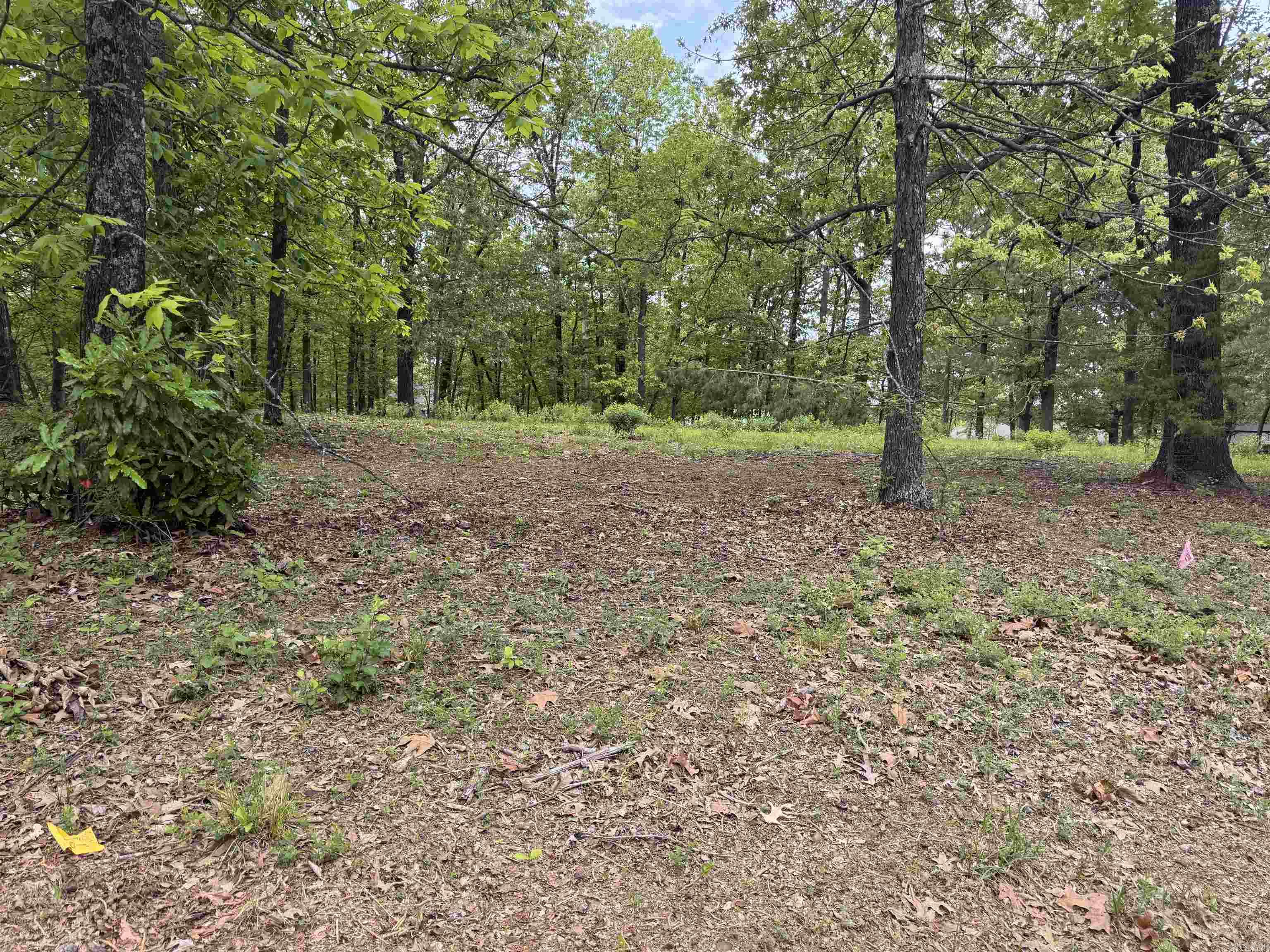 402 Forest Lake  Texarkana, TX