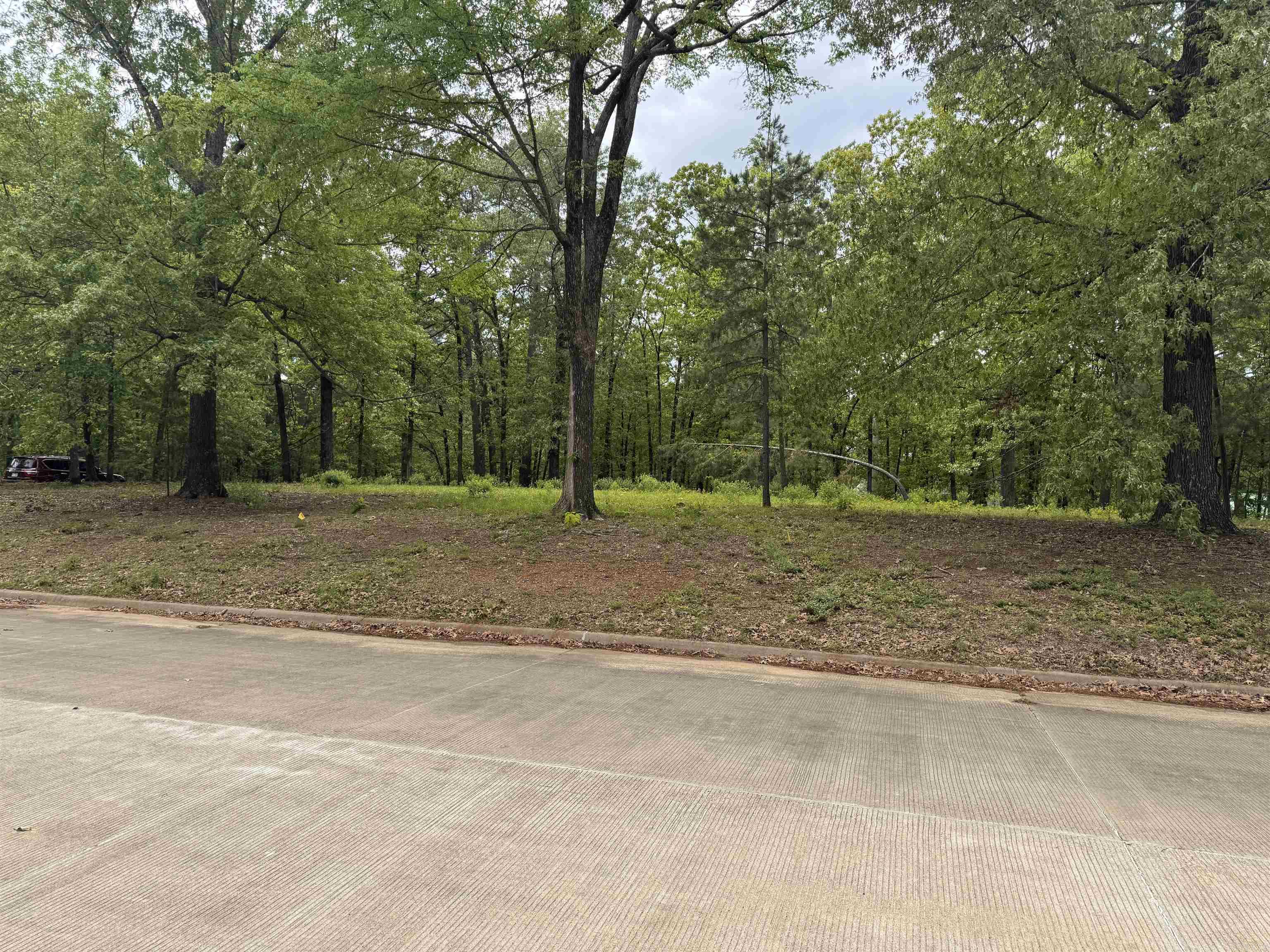 402 Forest Lake  Texarkana, TX
