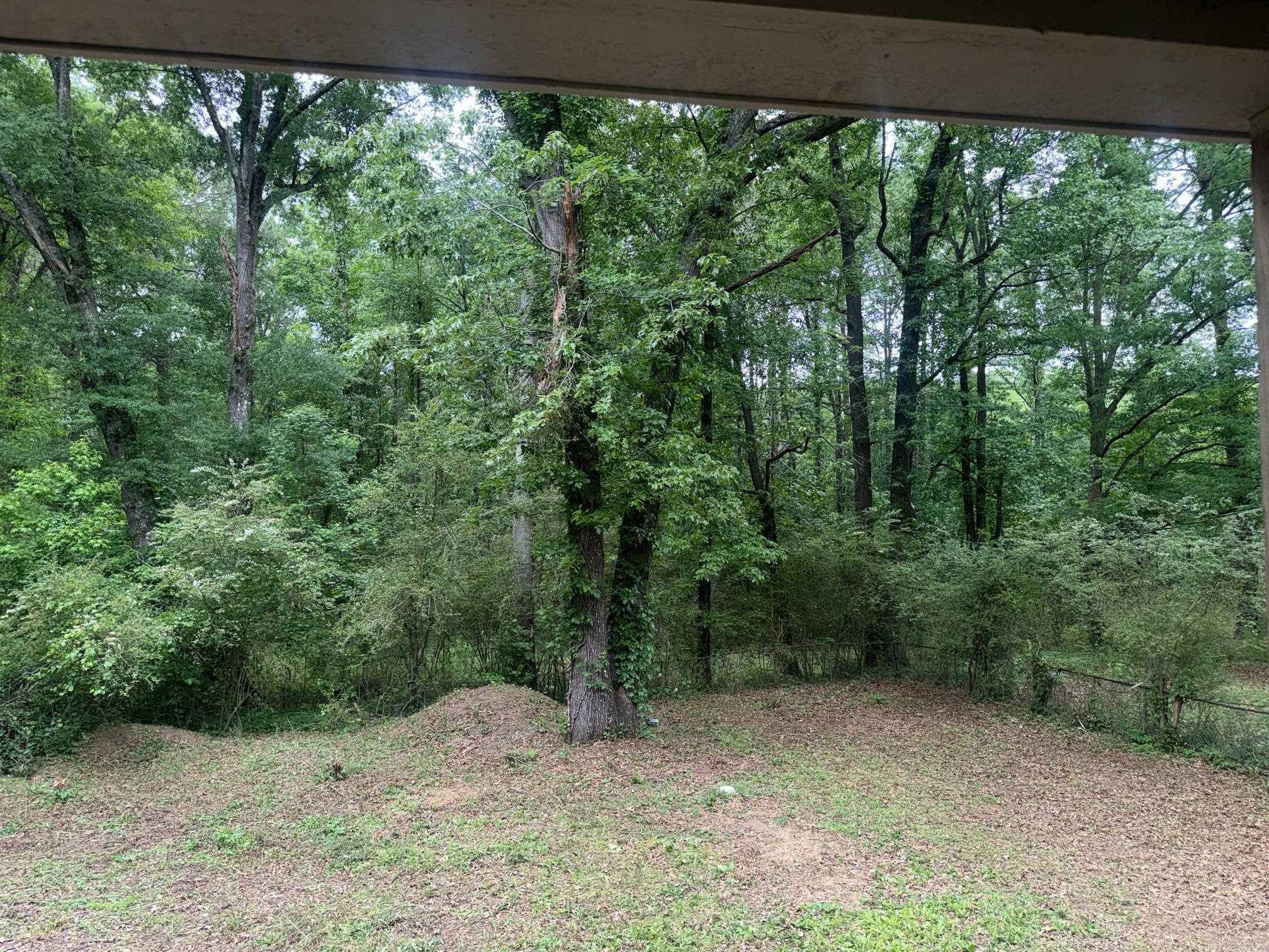 22035 Phillip  Little Rock, AR