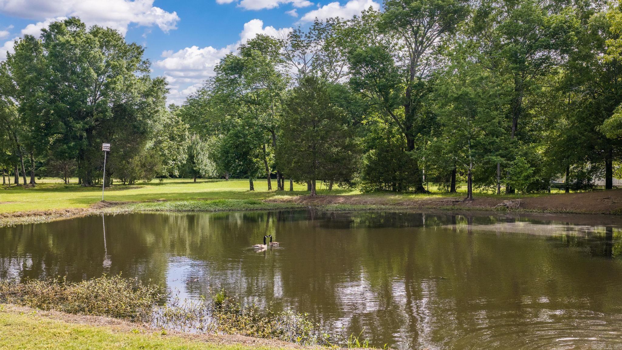 13 Agarita Cove  Conway, AR