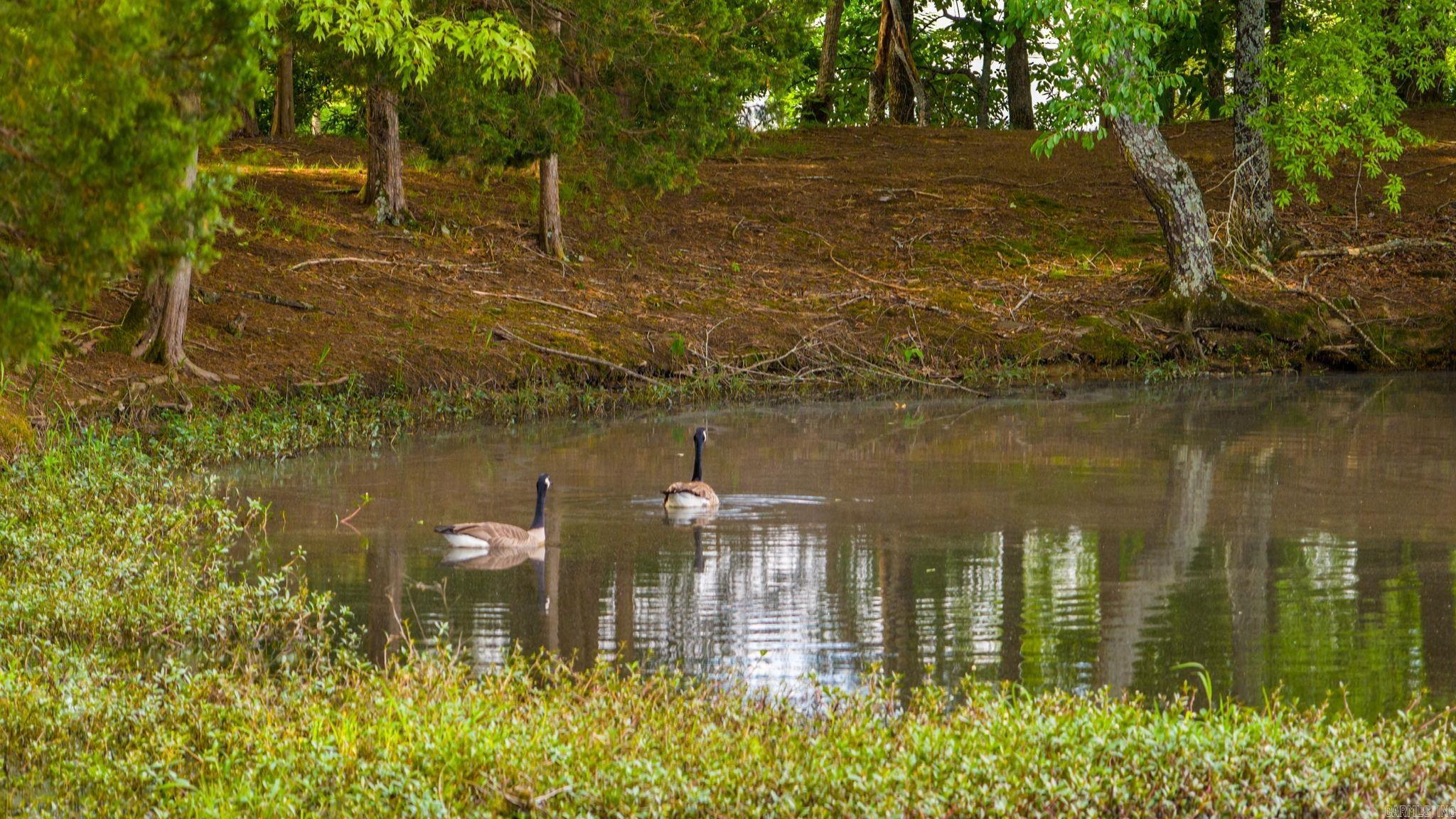 13 Agarita Cove Conway, AR 72032