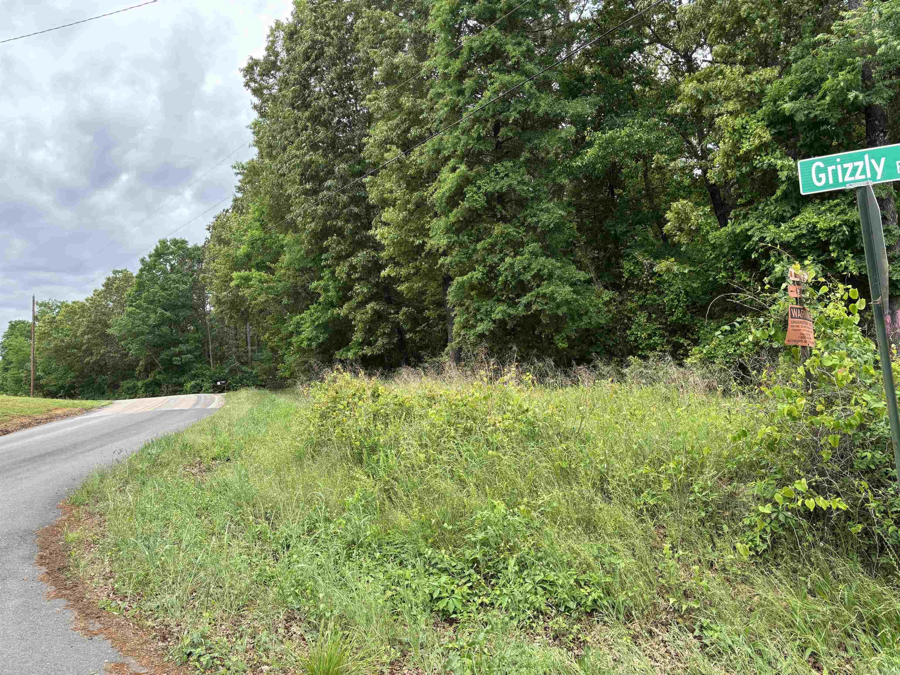 1400 Old Bear TBD Royal, AR