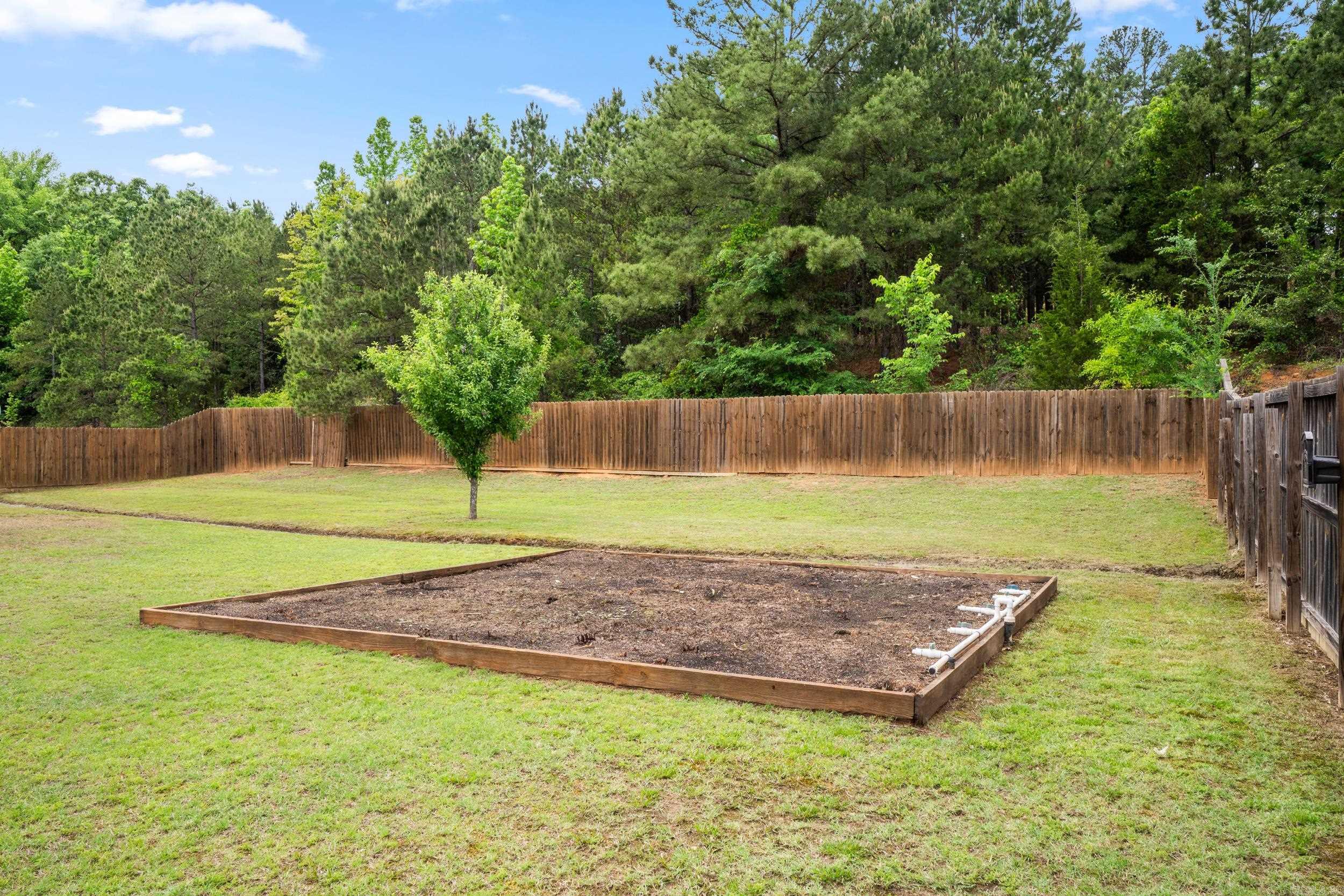 52 Wilhelmina  Conway, AR