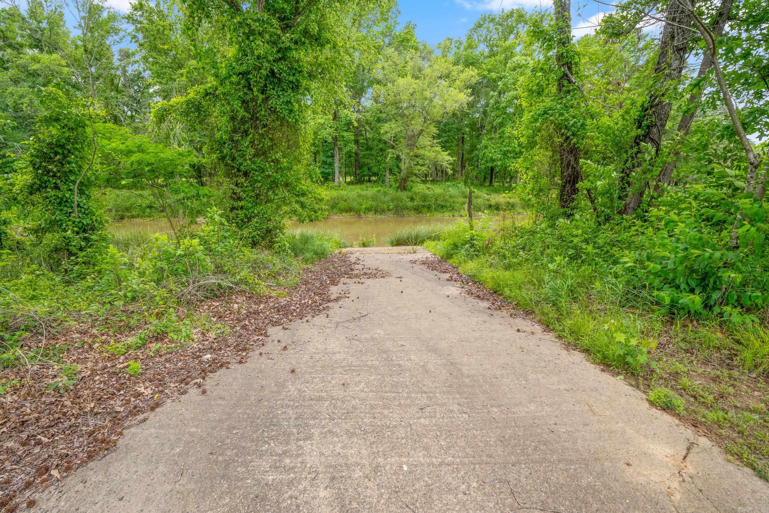 52 Wilhelmina  Conway, AR