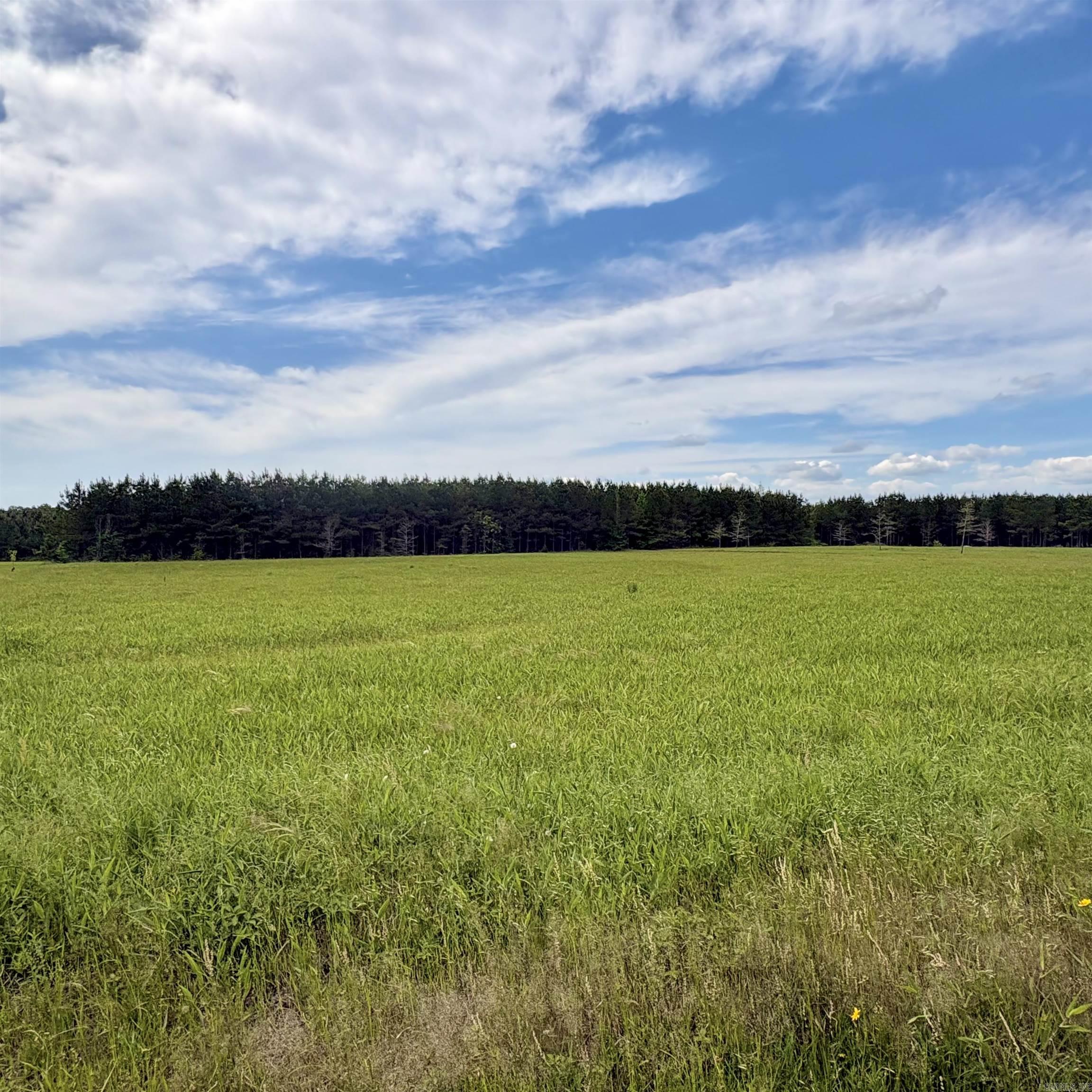 3785 Grant 9  Sheridan, AR