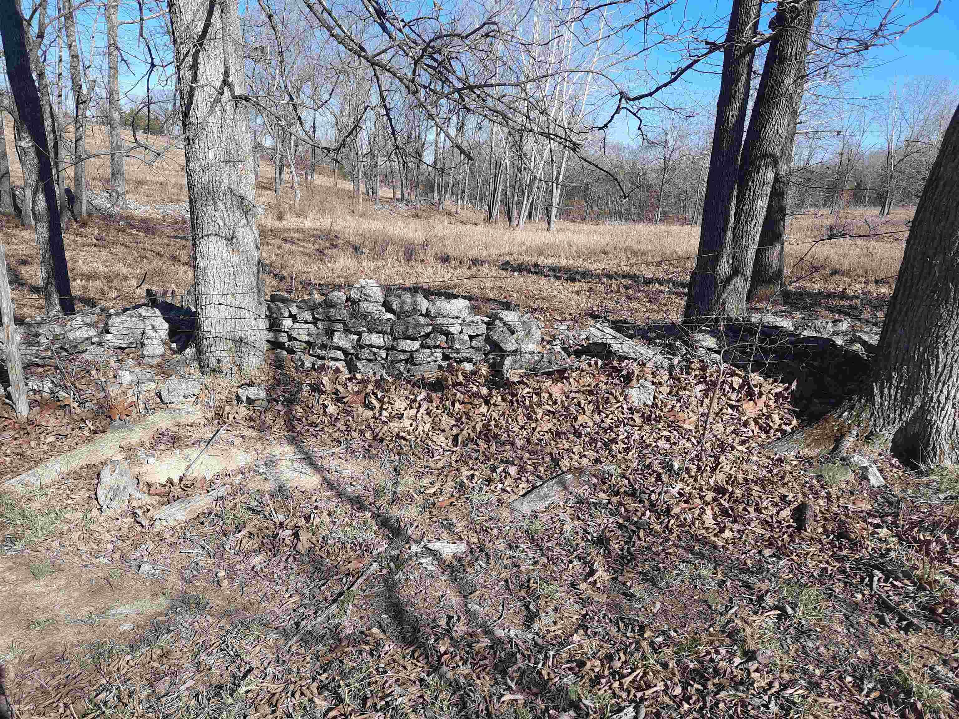 000 Robinson  Mammoth Spring, AR