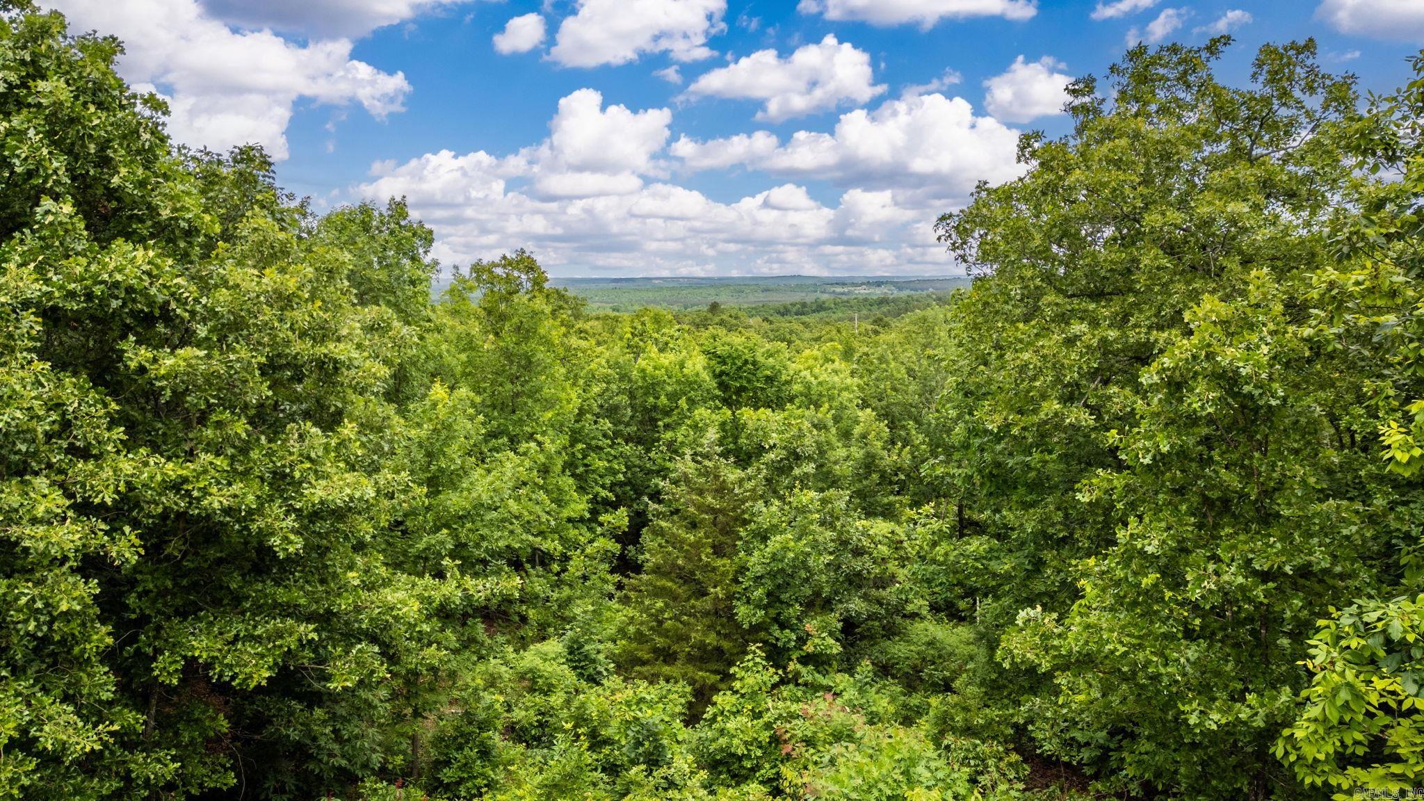 4 Logan Way Conway, AR 72032