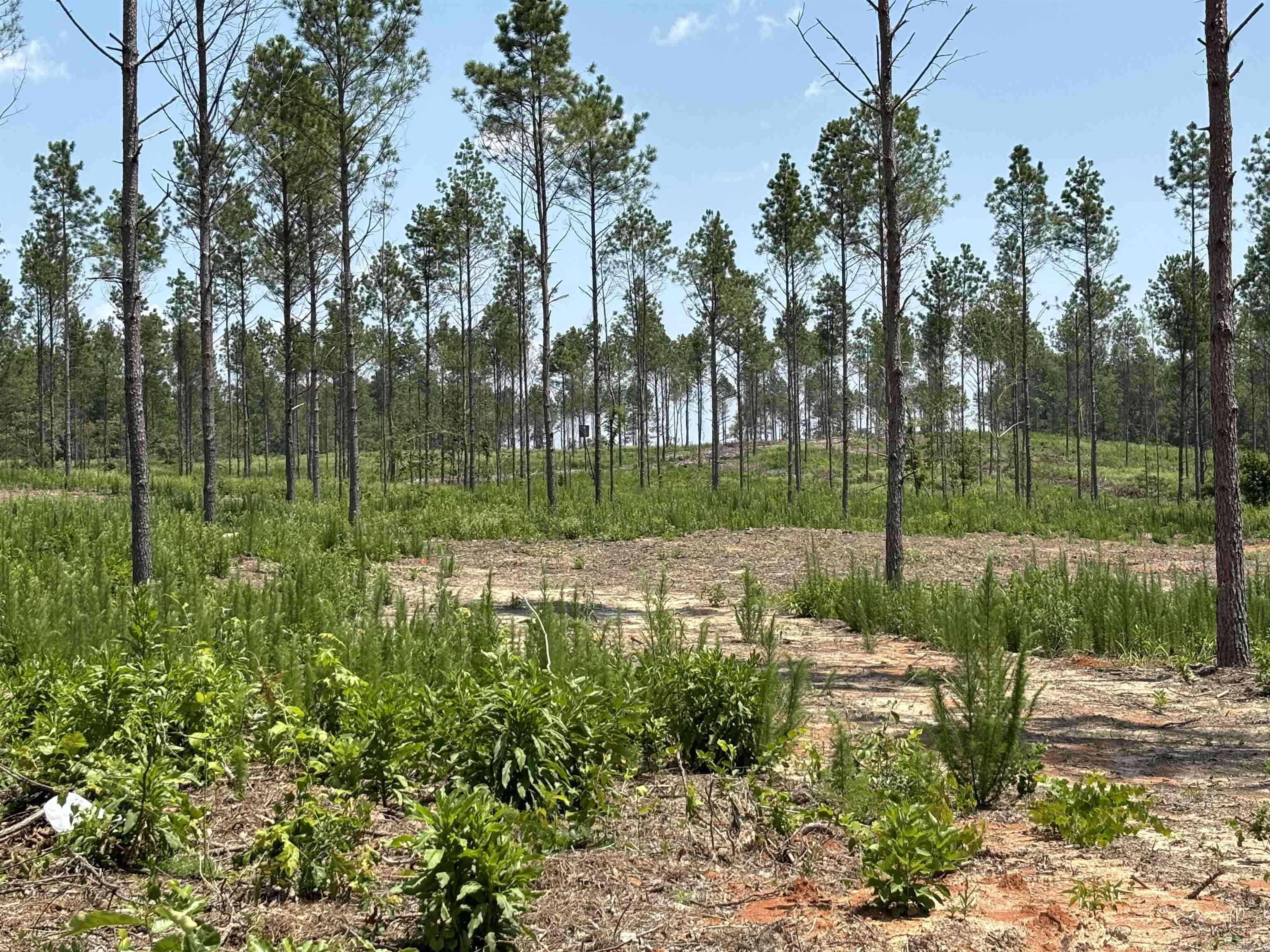 0 Grant 43 (E)  Sheridan, AR