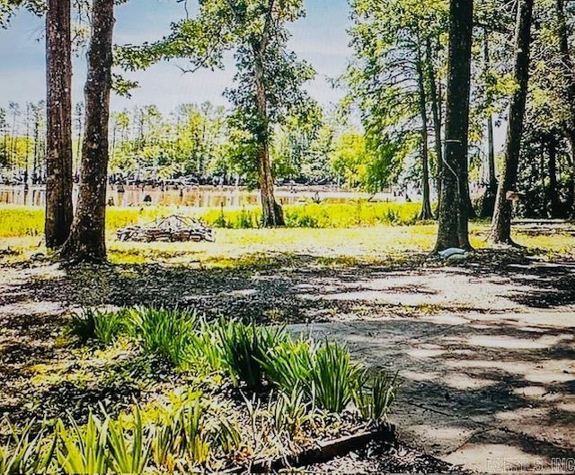 171 waterfront Cove  Conway, AR