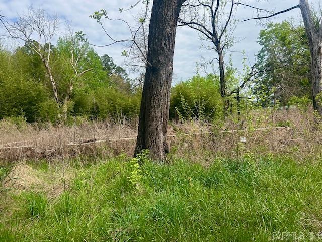1939 Meadow Creek  Clinton, AR