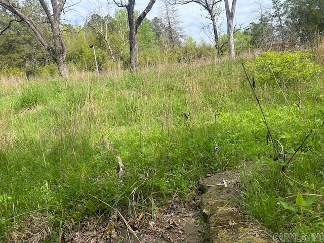 1939 Meadow Creek  Clinton, AR