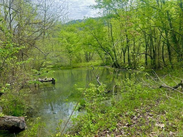 1939 Meadow Creek  Clinton, AR