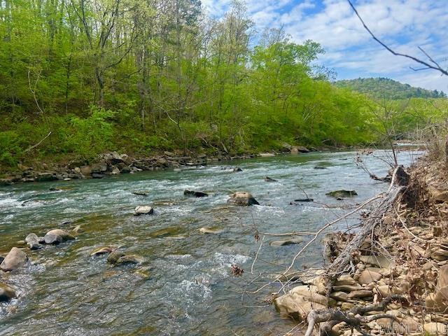 1939 Meadow Creek  Clinton, AR