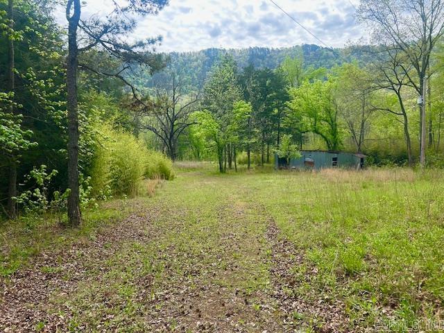 1939 Meadow Creek  Clinton, AR
