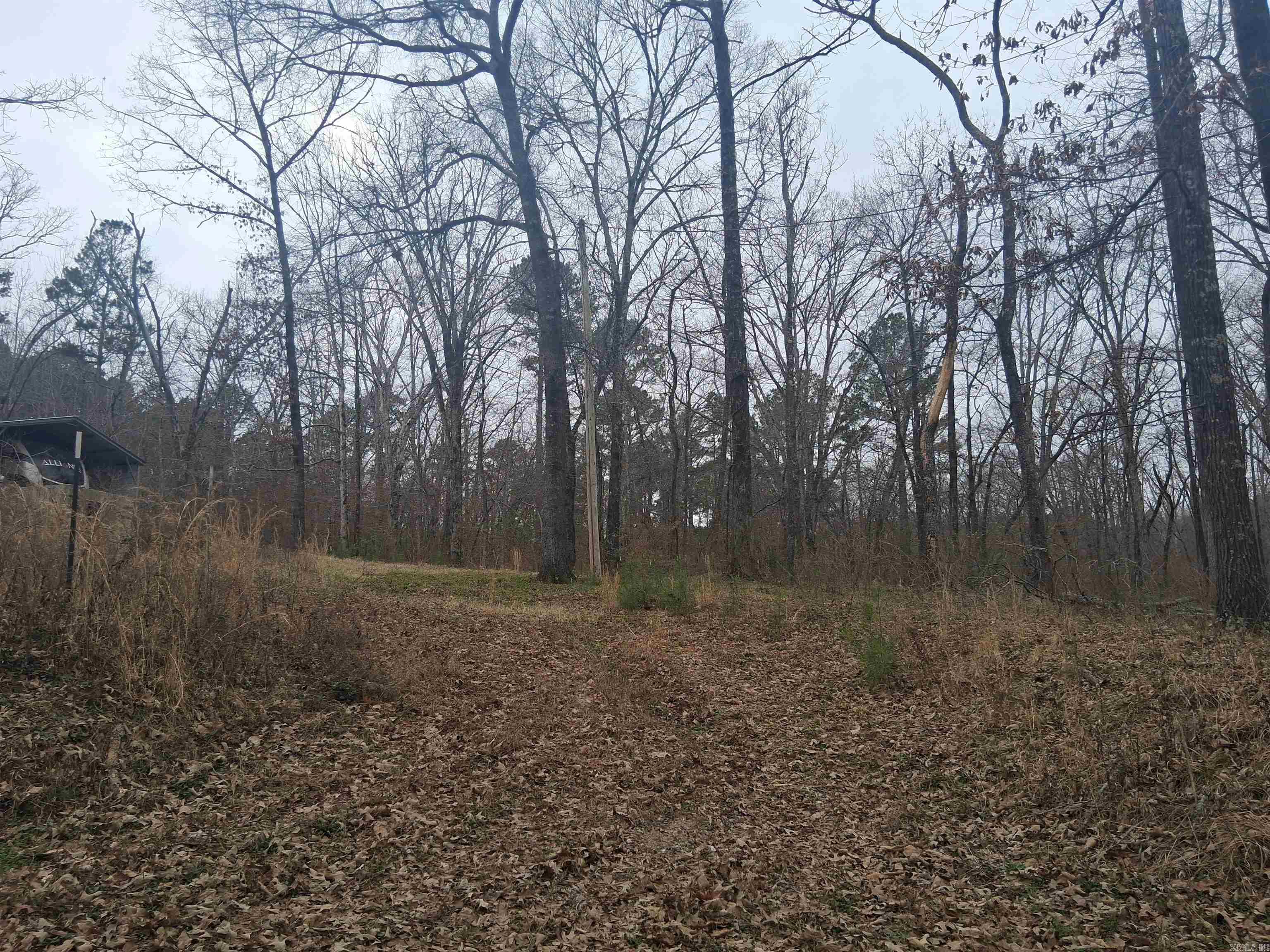 Xxx Woodland Shores  Royal, AR