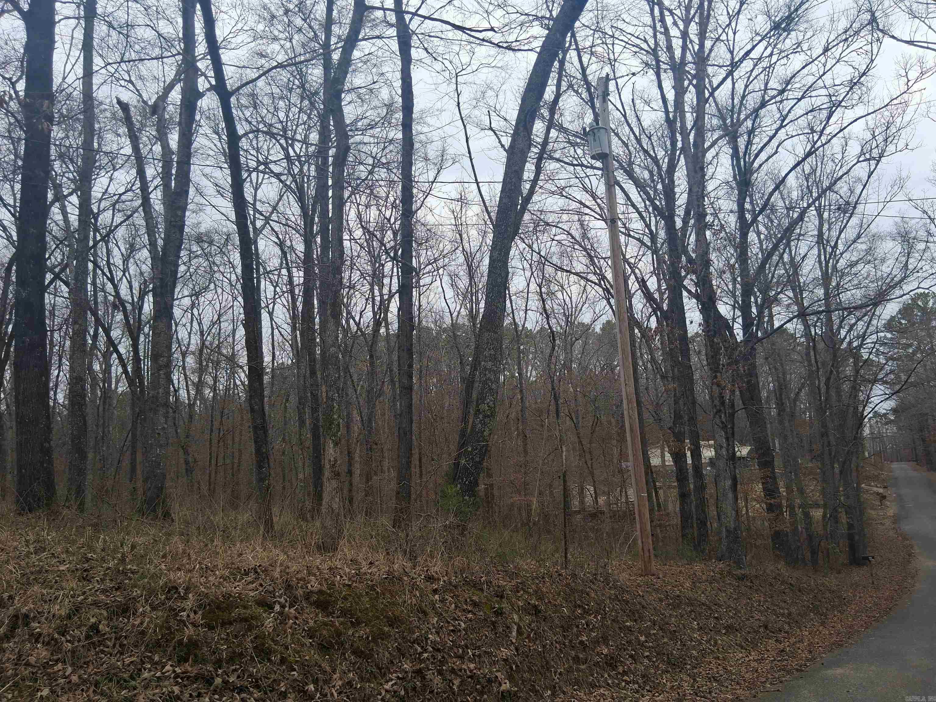 Xxx Woodland Shores  Royal, AR