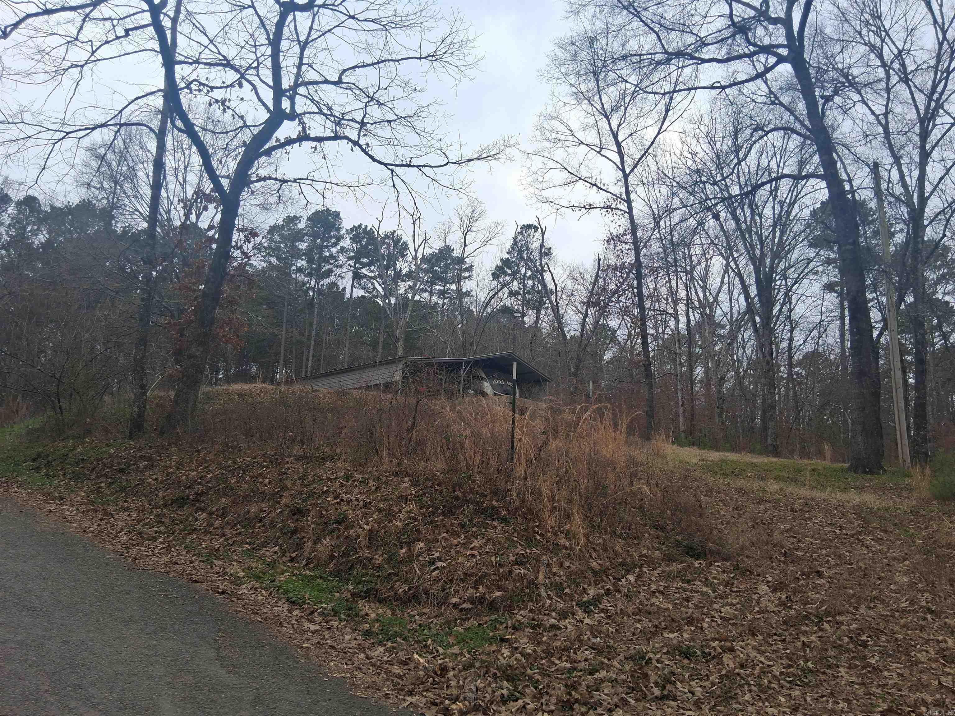 Xxx Woodland Shores  Royal, AR