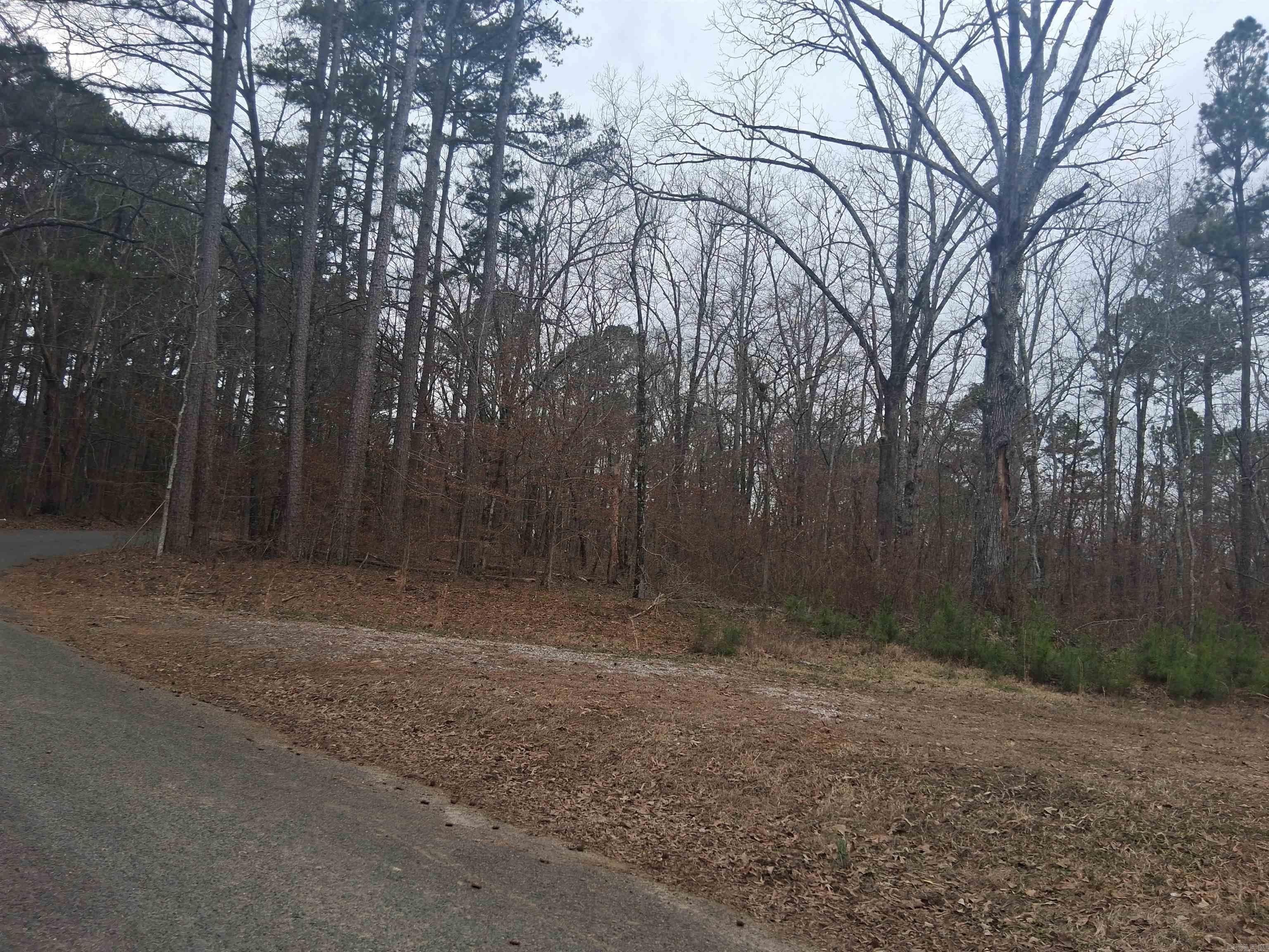 Xxx Woodland Shores  Royal, AR