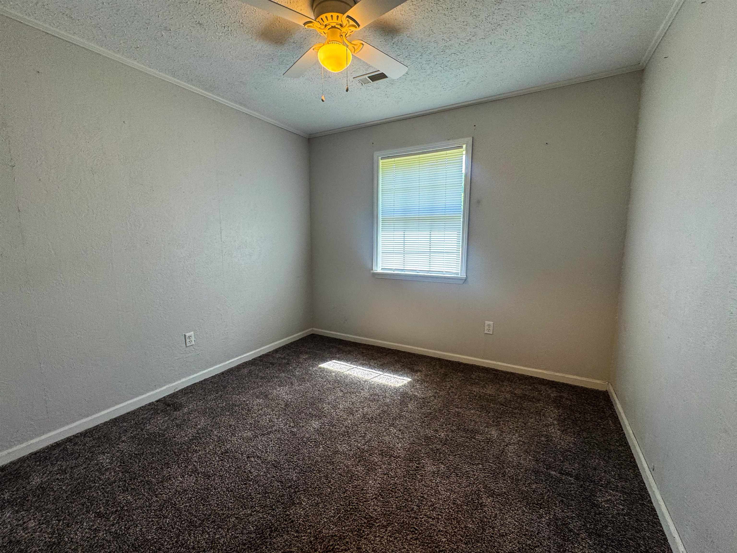 20 Diane  Ash Flat, AR