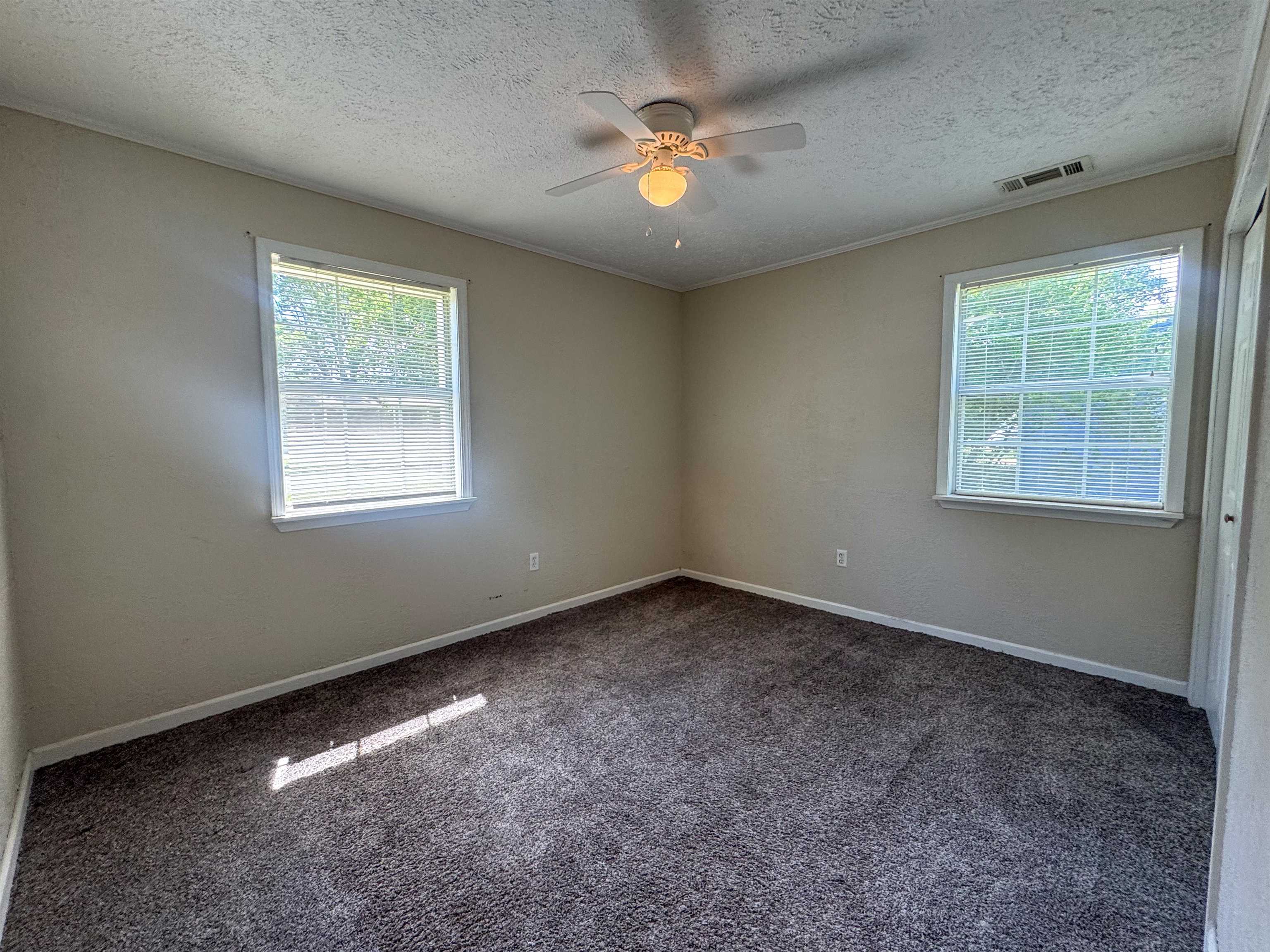 20 Diane  Ash Flat, AR