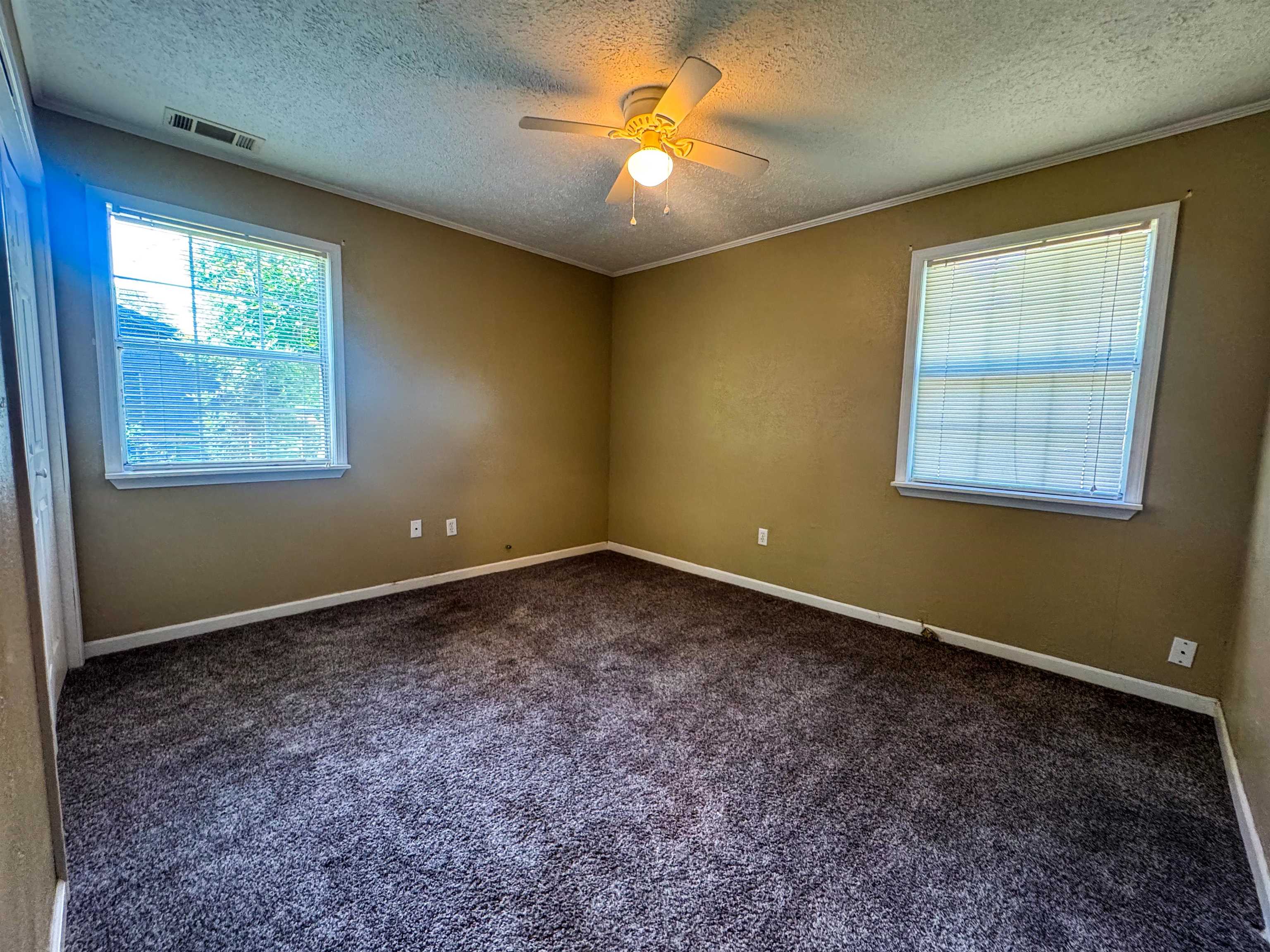 20 Diane  Ash Flat, AR