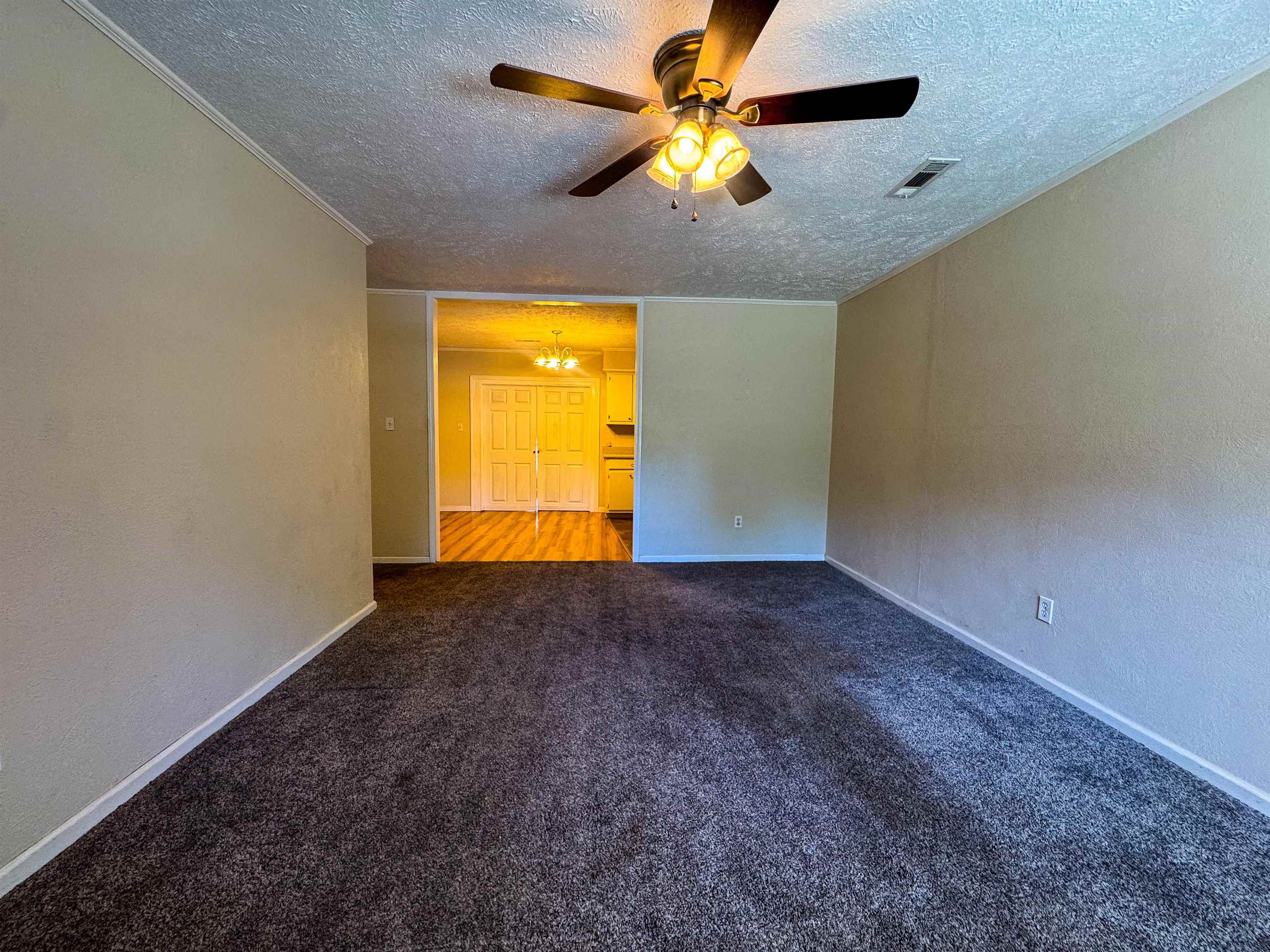 20 Diane  Ash Flat, AR