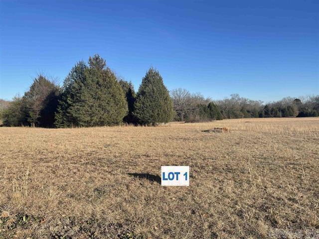 62 Addi Ln  Conway, AR