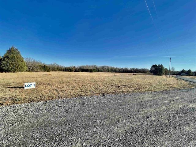 62 Addi Ln  Conway, AR