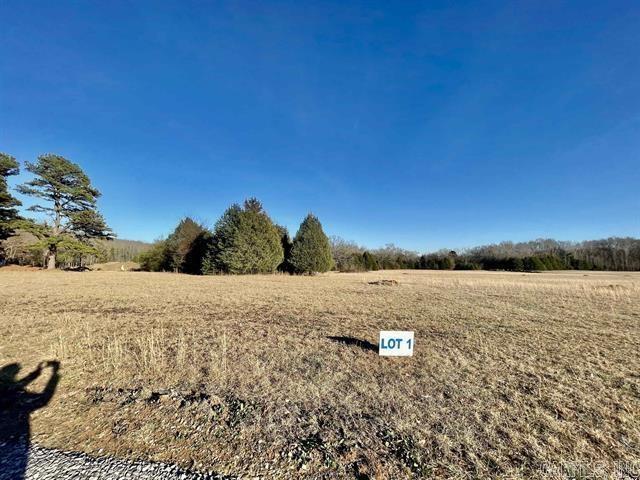 62 Addi Ln  Conway, AR