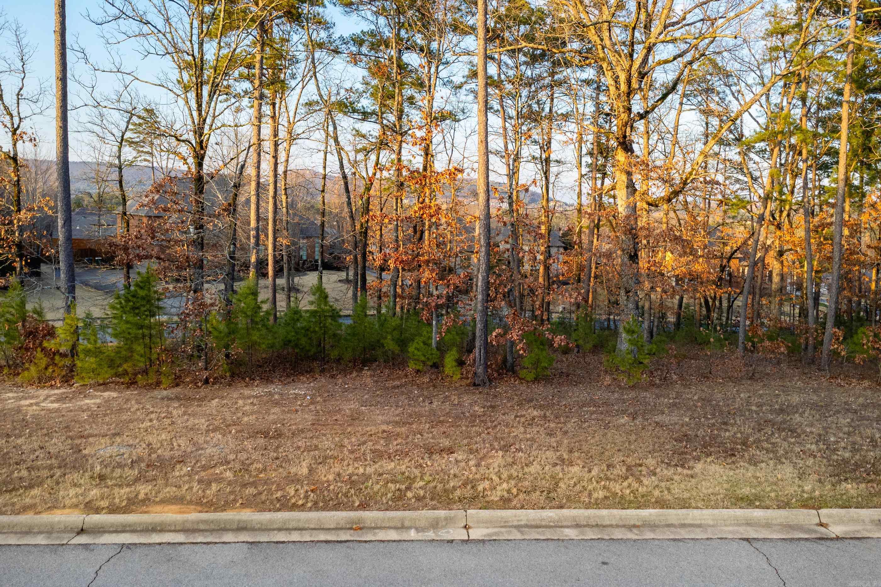 120 Sezanne Court  Little Rock, AR