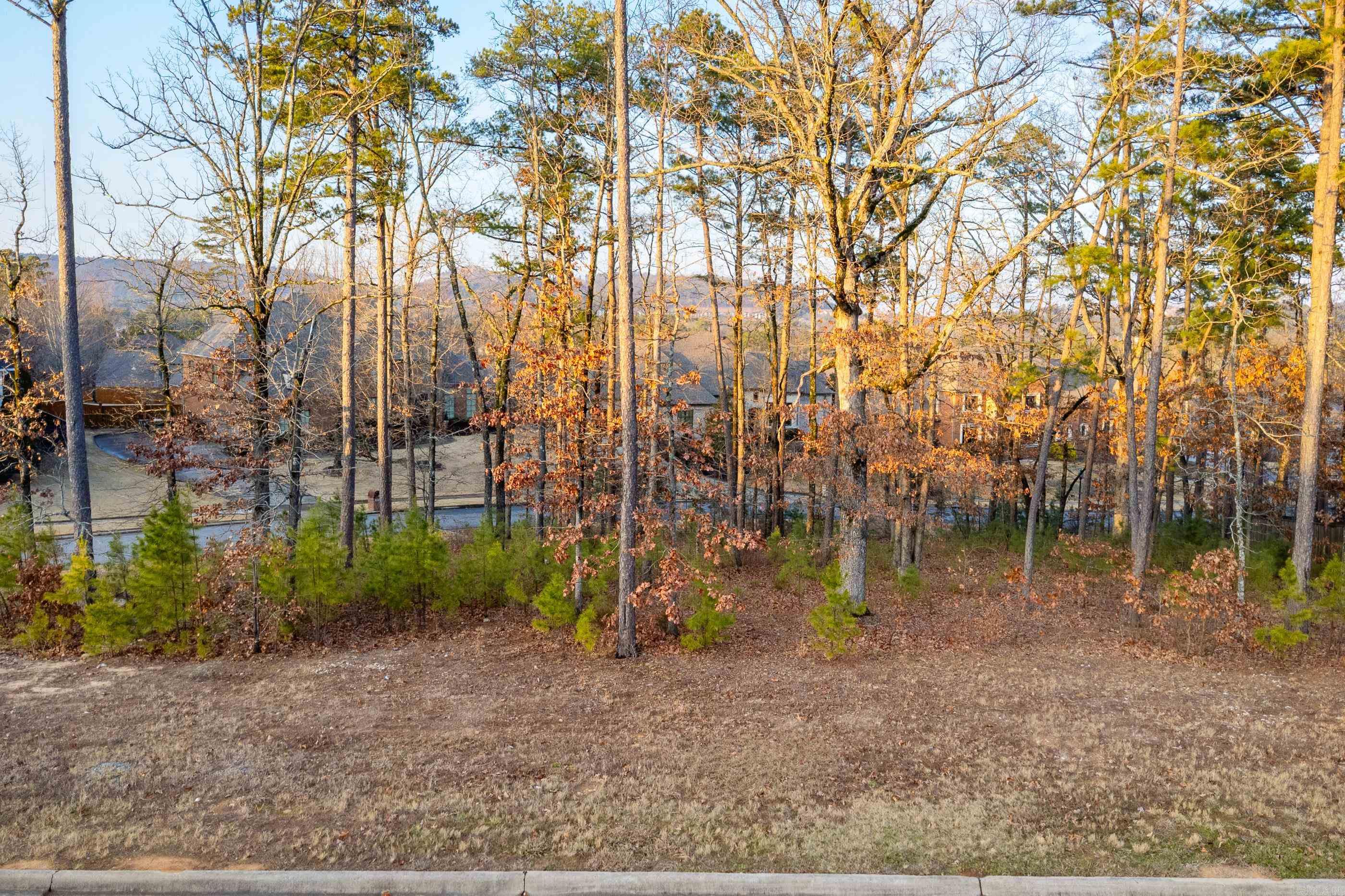 120 Sezanne Court  Little Rock, AR
