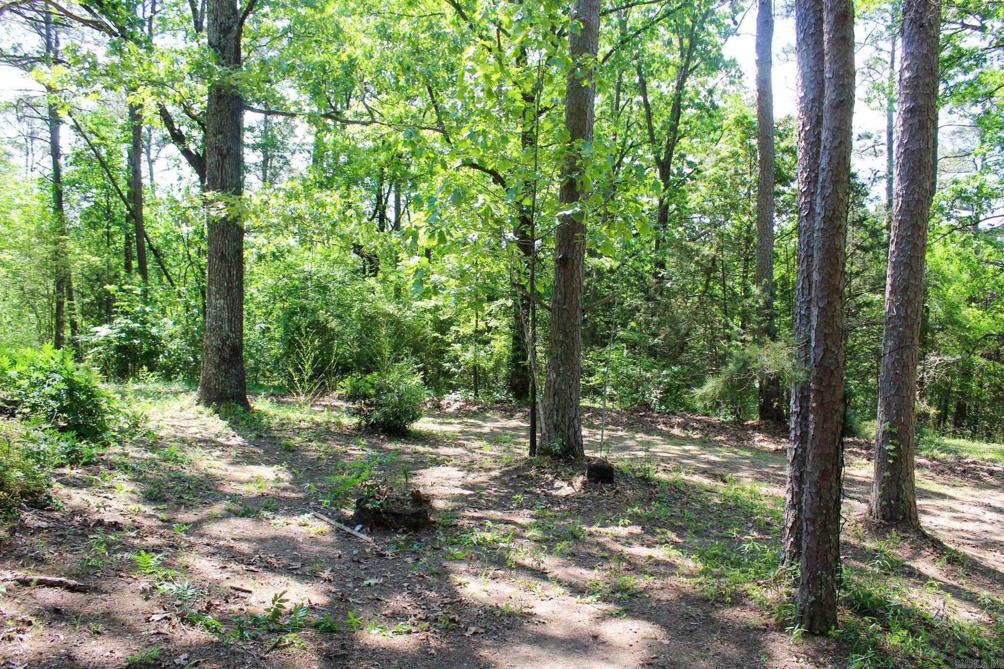 120 Wood Hill  Rose Bud, AR