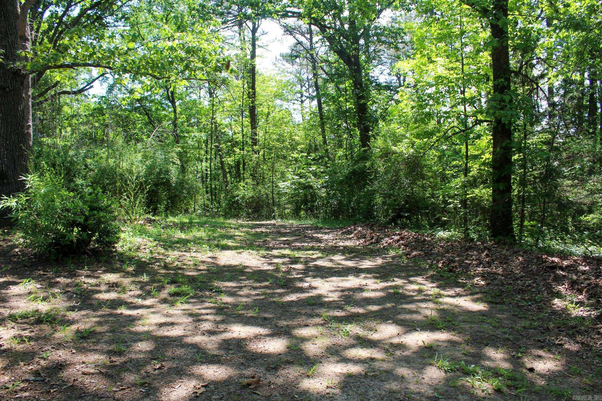 120 Wood Hill  Rose Bud, AR