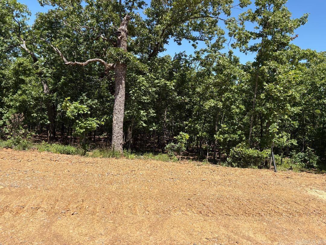 Lot 64 7 Lake Ranch  Conway, AR