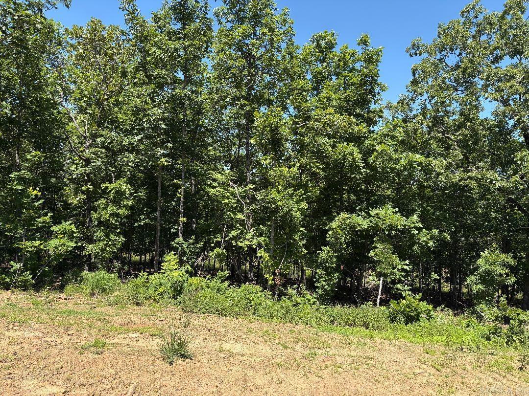 Lot 14 7 Lakes Ranch  Conway, AR