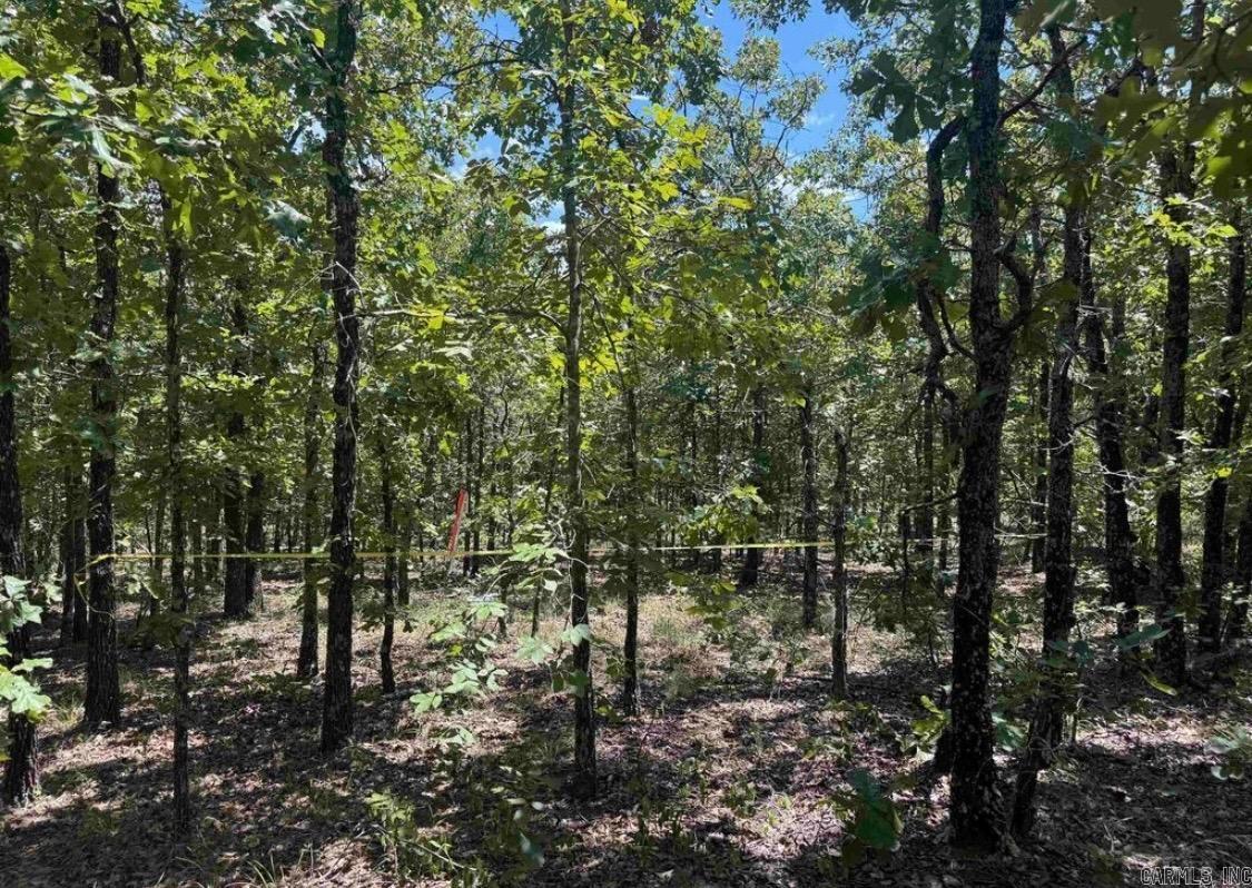 Lot 14 7 Lakes Ranch  Conway, AR