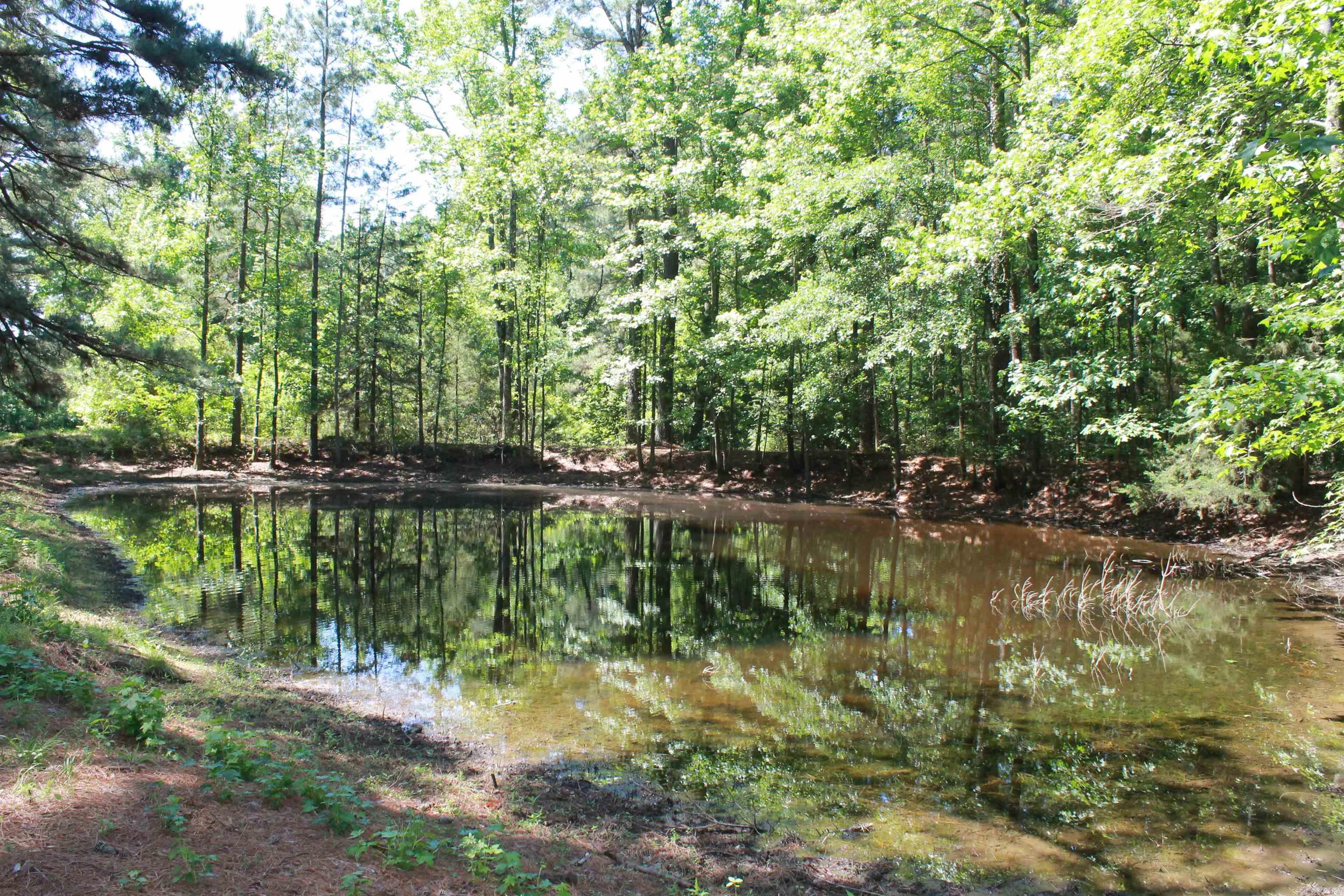 3456 Mt. Holly Road  El Dorado, AR