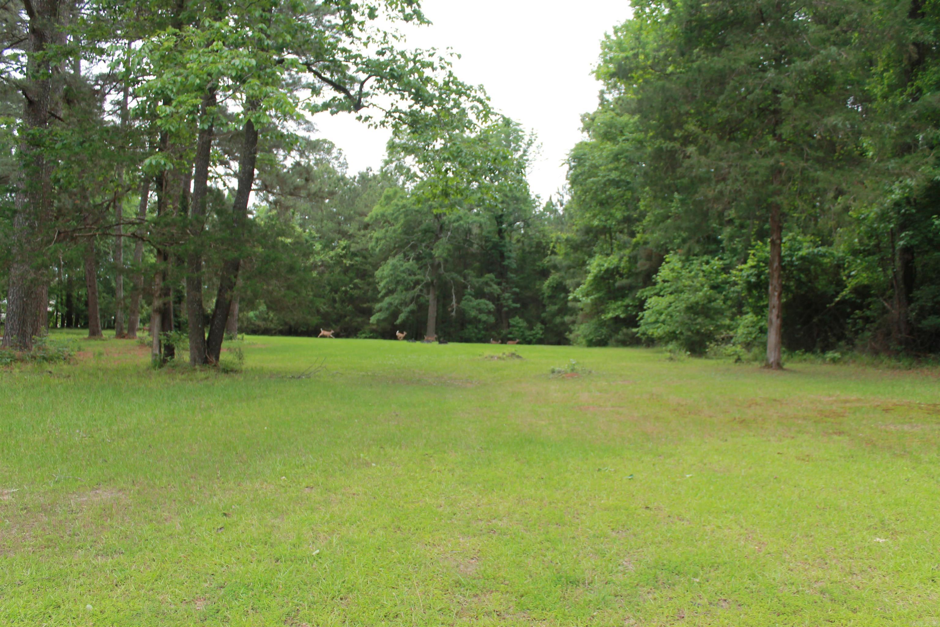 3456 Mt. Holly Road  El Dorado, AR