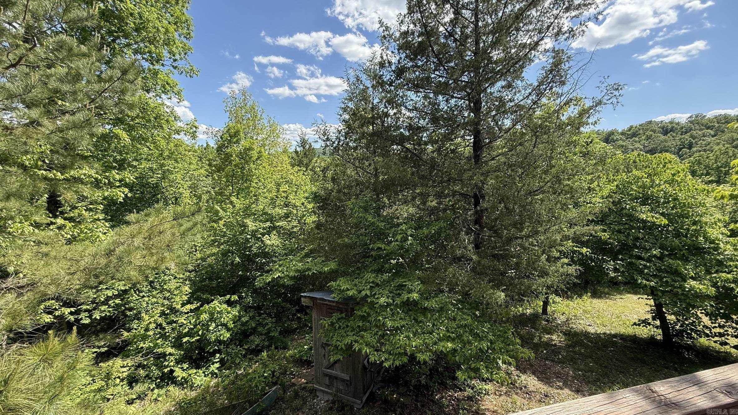 108 Georgia  Mountain View, AR
