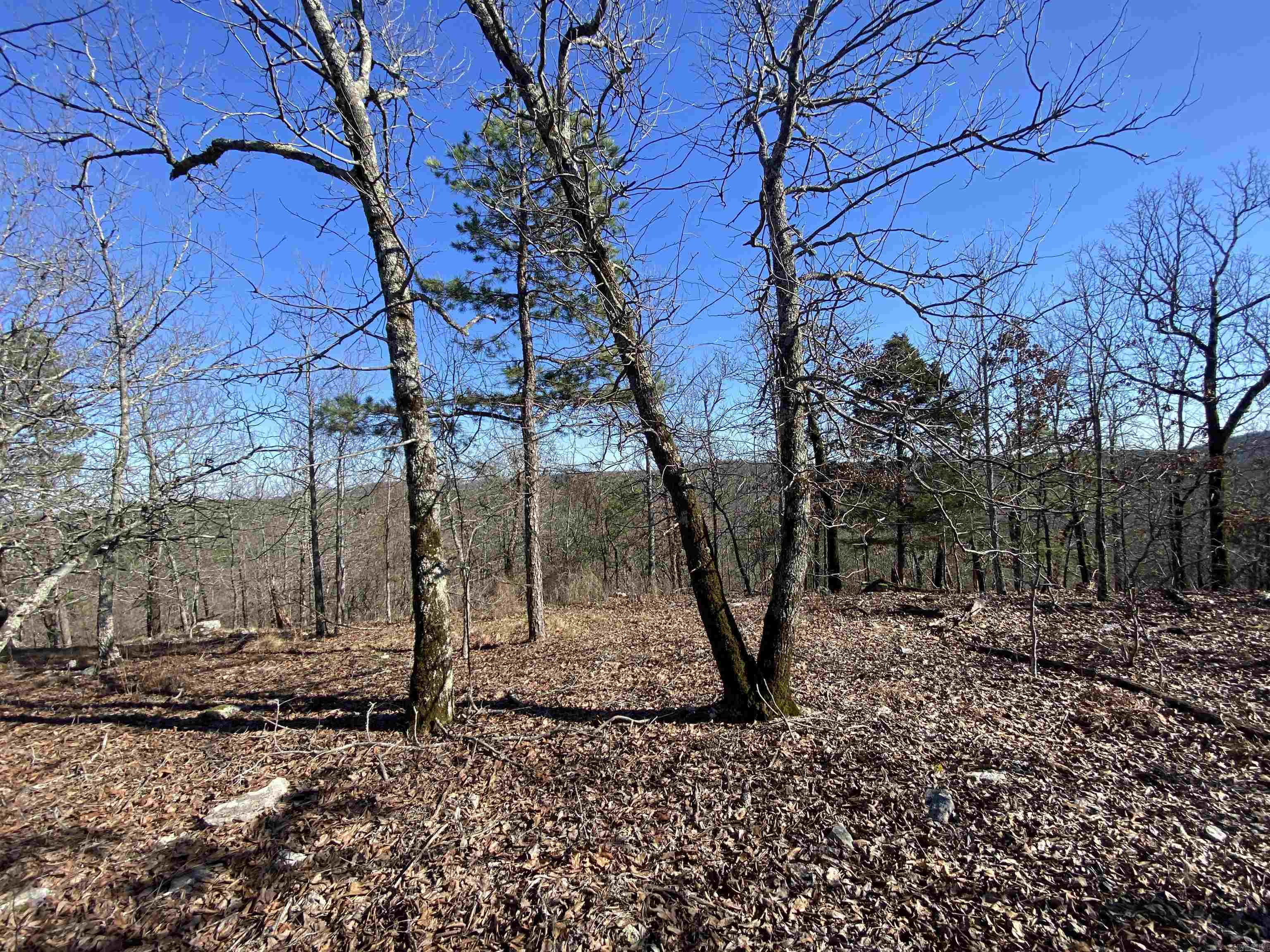 RPID 115120 Cedar Creek  Hot Springs, AR