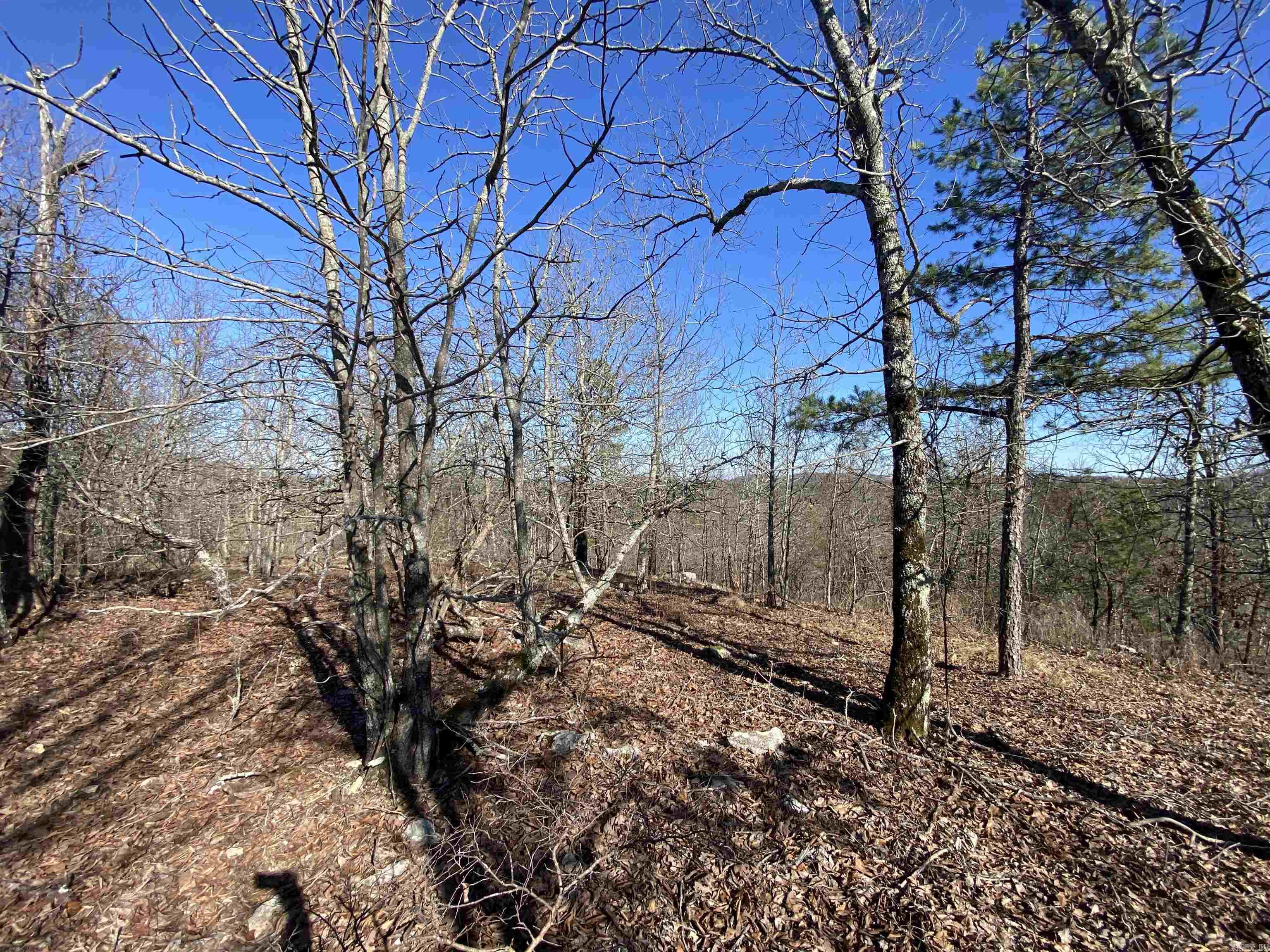 RPID 115120 Cedar Creek  Hot Springs, AR