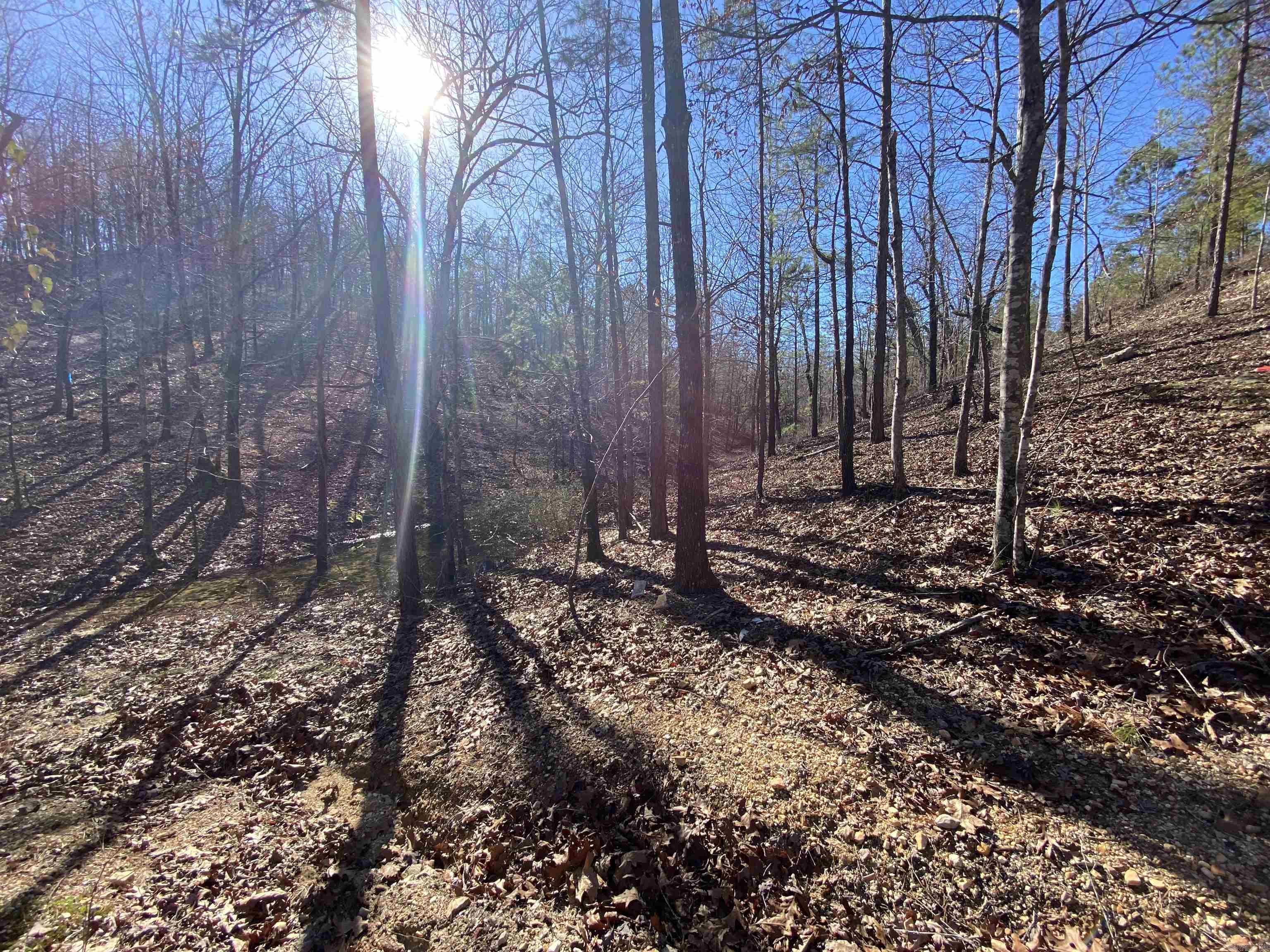 RPID 115120 Cedar Creek  Hot Springs, AR