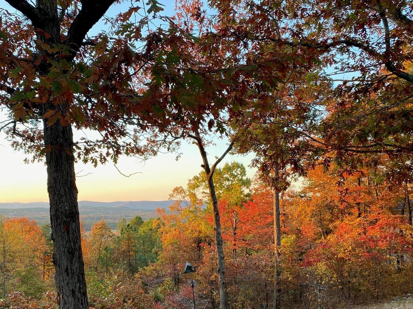99 Castano  Hot Springs Village, AR