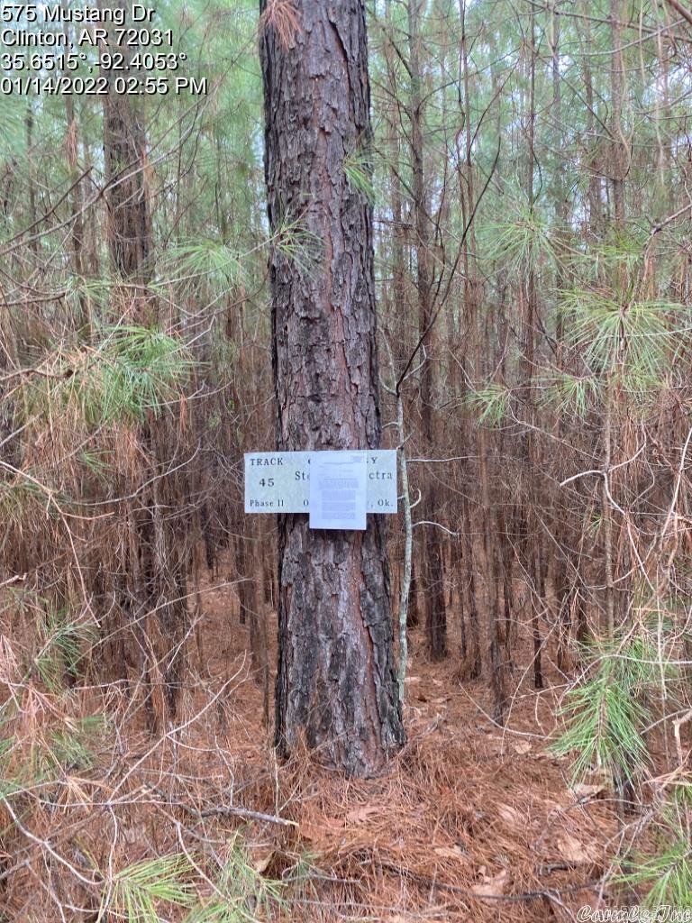 575 (Lot 45) Mustang Drive  Clinton, AR