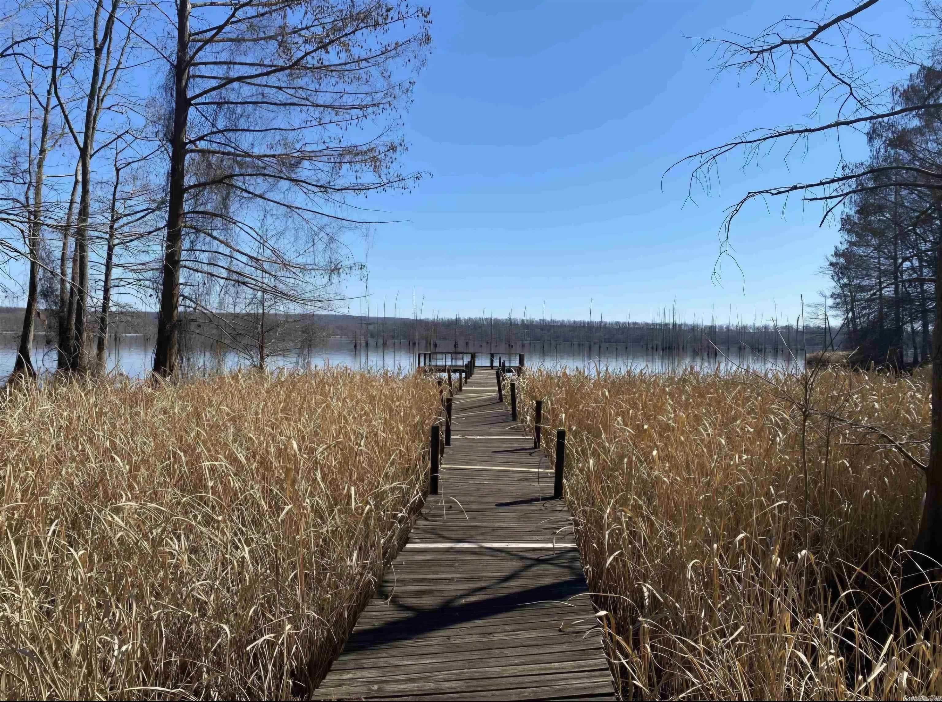 86 Waterfront  Conway, AR