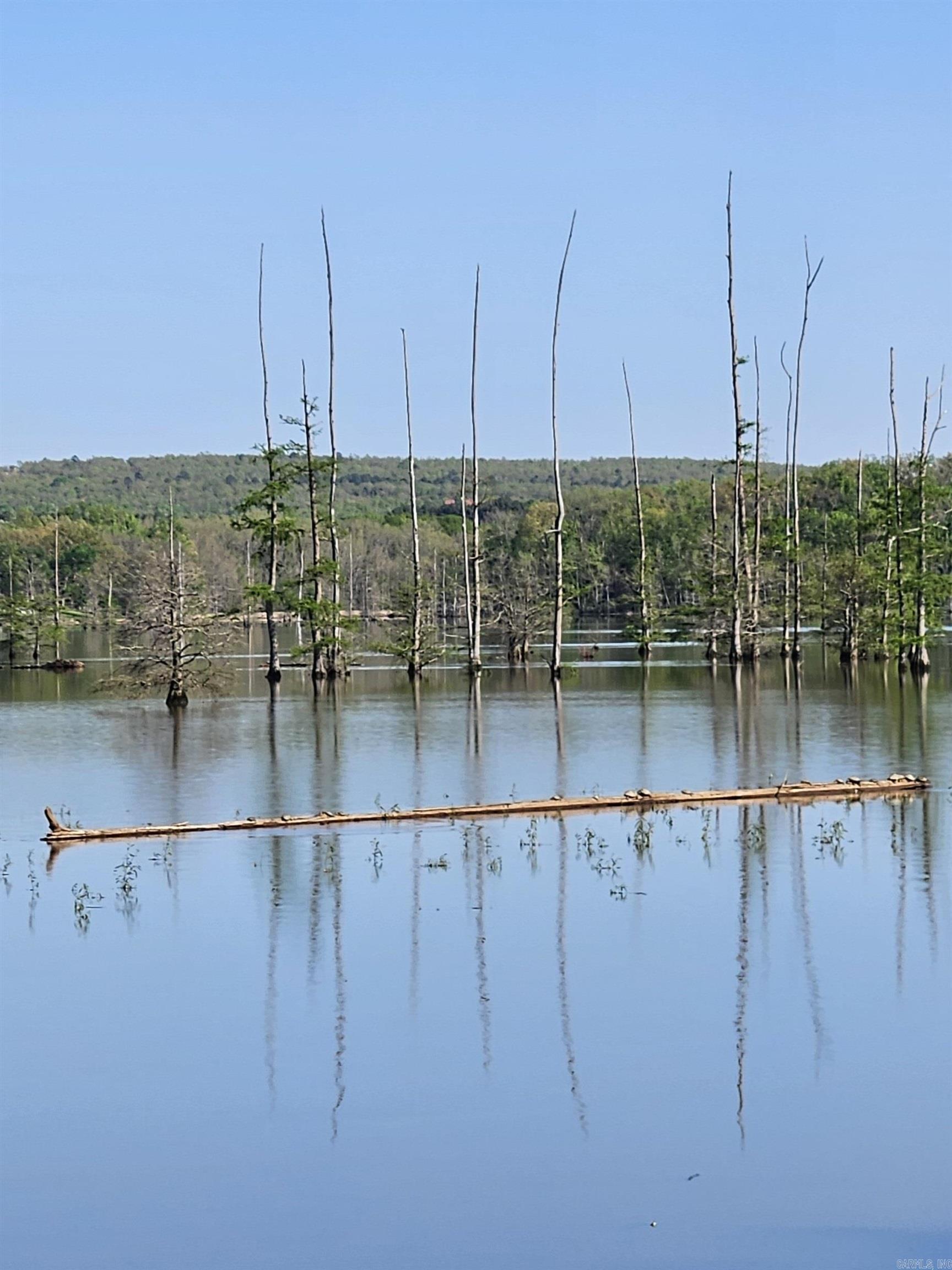 86 Waterfront  Conway, AR