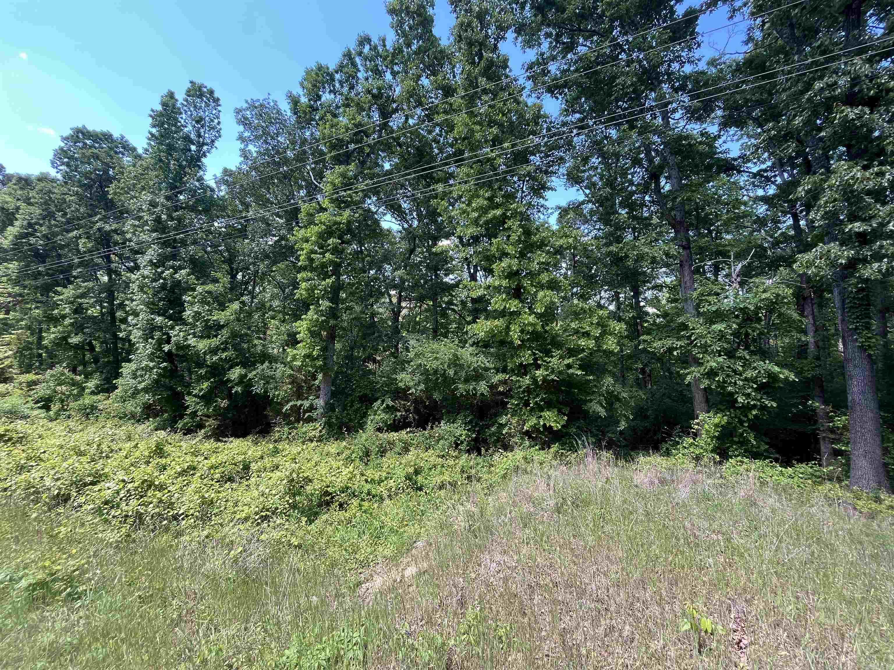 000 Budd Creek Rd.  Greers Ferry, AR
