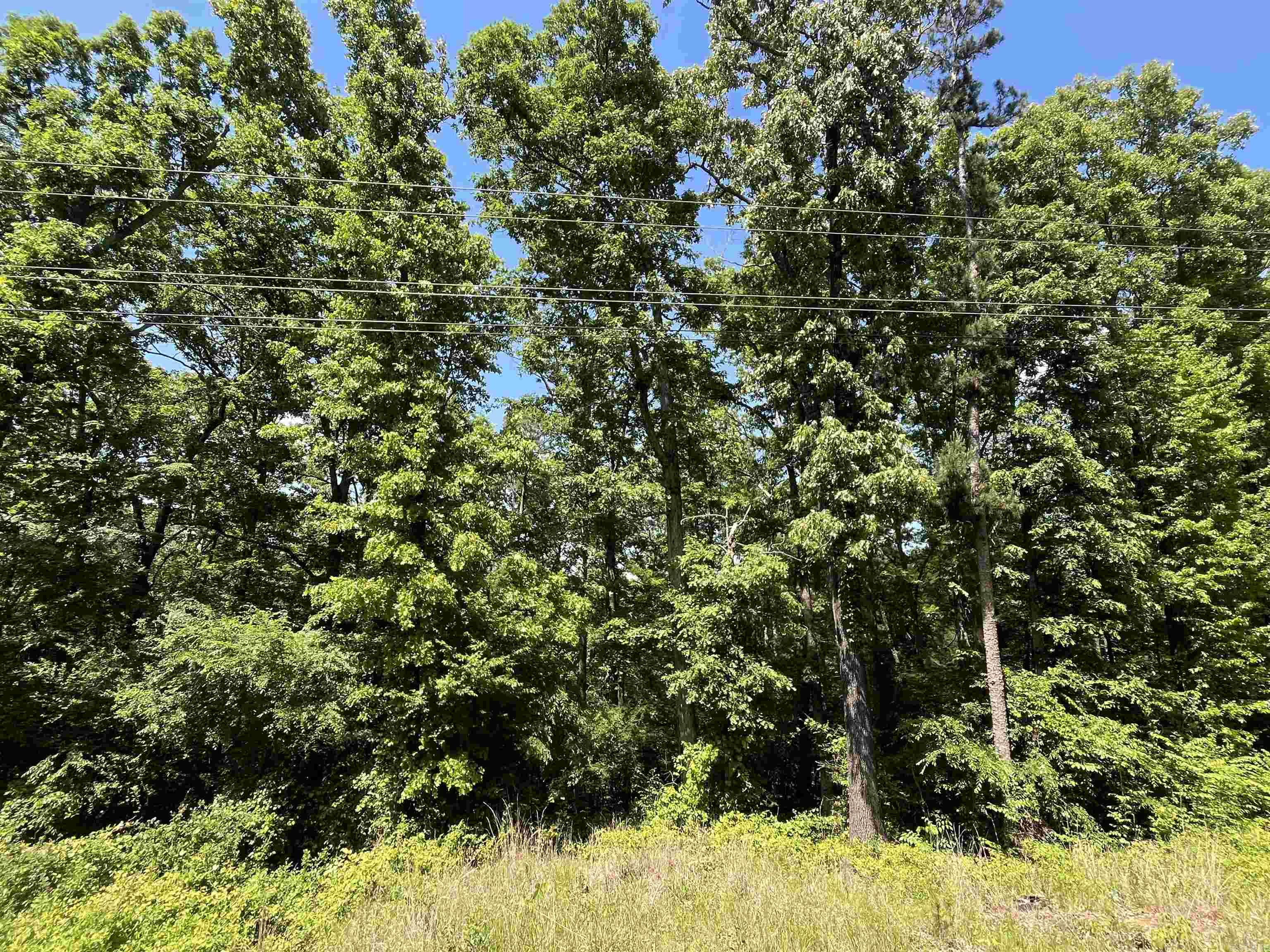 000 Budd Creek Rd.  Greers Ferry, AR