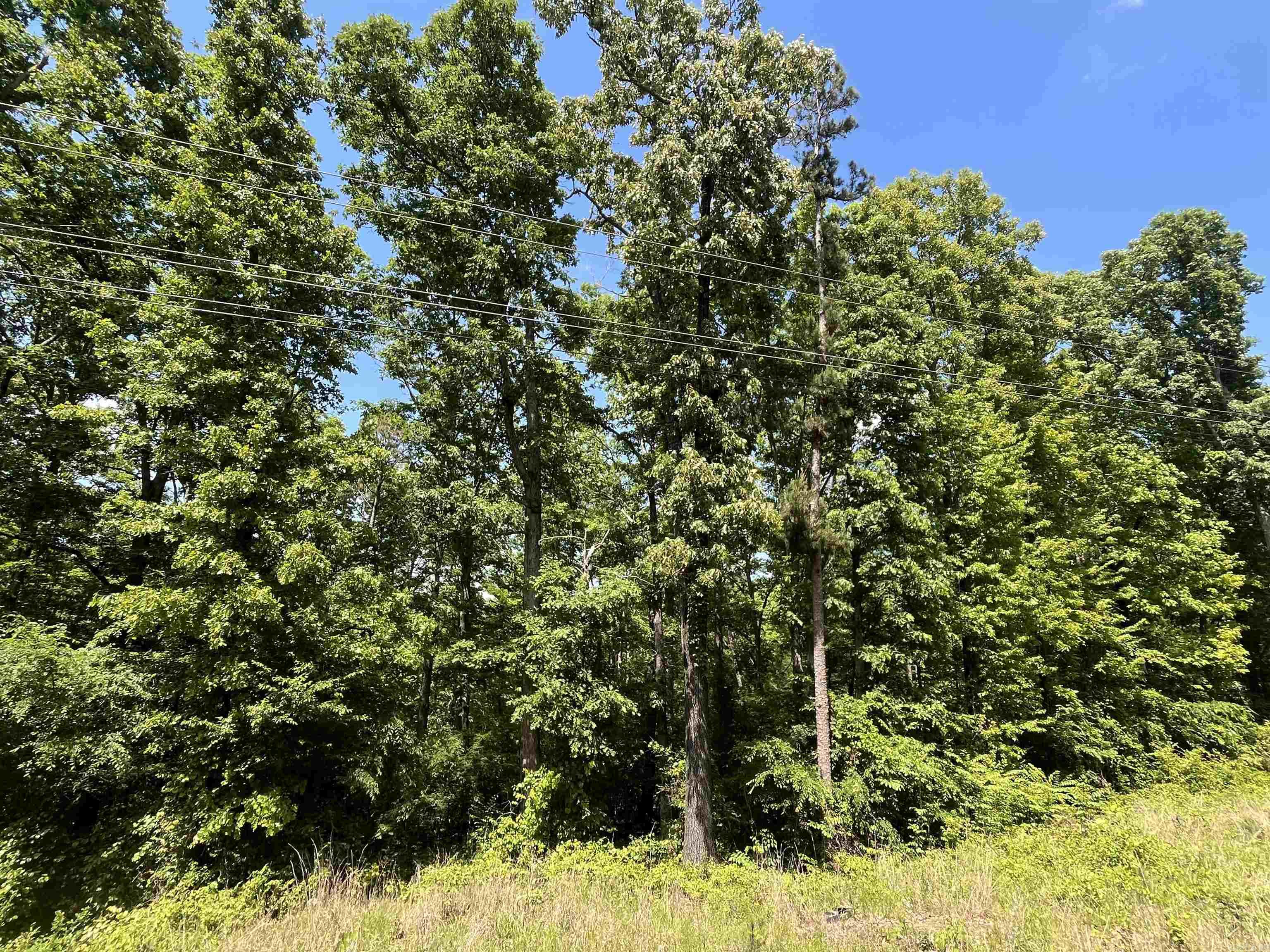 000 Budd Creek Rd.  Greers Ferry, AR